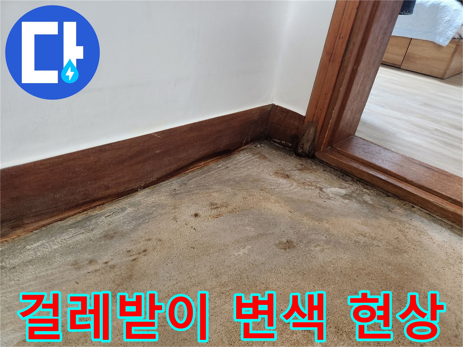나무 걸레받이 하단의 습기 침투 및 오염 상태 - 용인 작업 현장