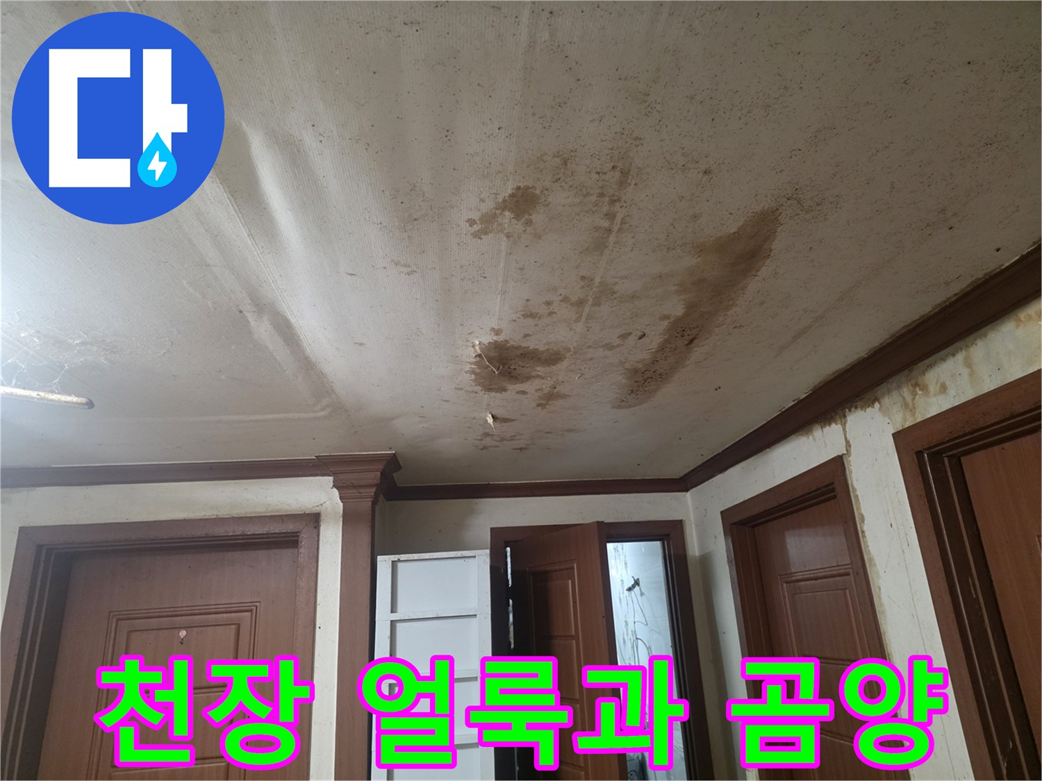 거실-천장부위에-넓게-퍼진-습기-및-얼룩-상태