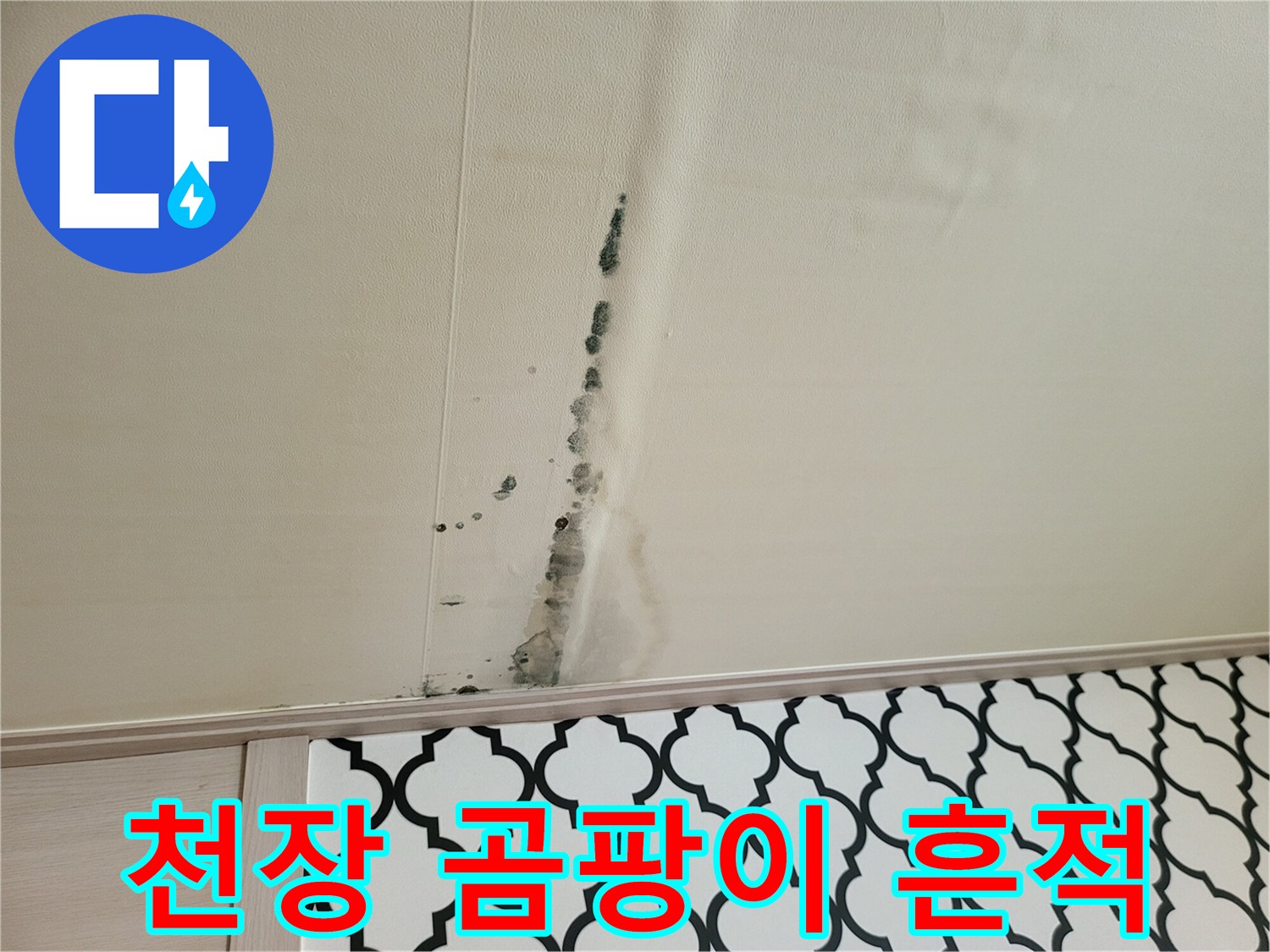 빌라 거실 천장에 발생한 검은색 곰팡이와 물자국