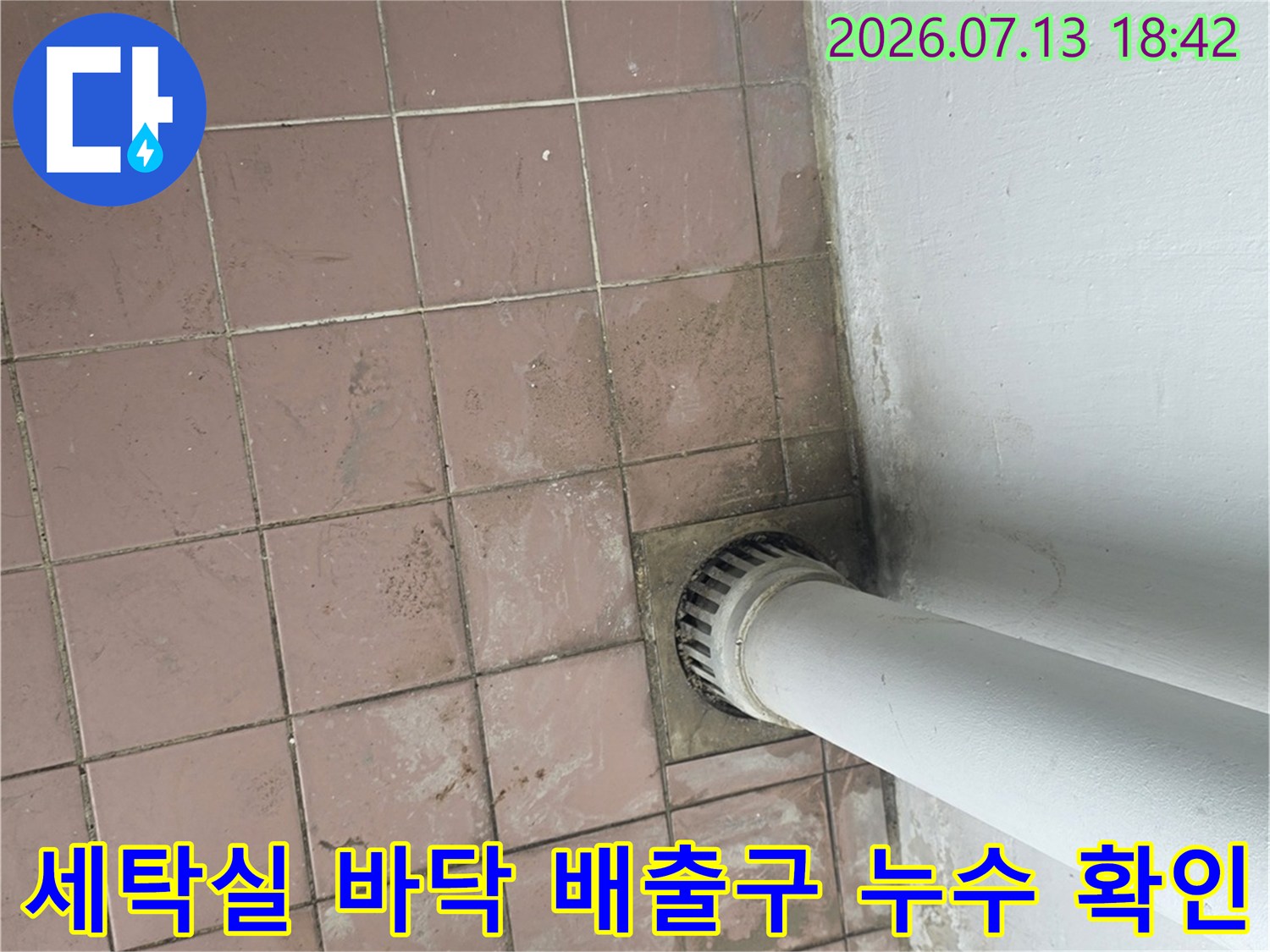 습기로 변색된 타일과 세탁실 배수 트랩 주변의 모습
