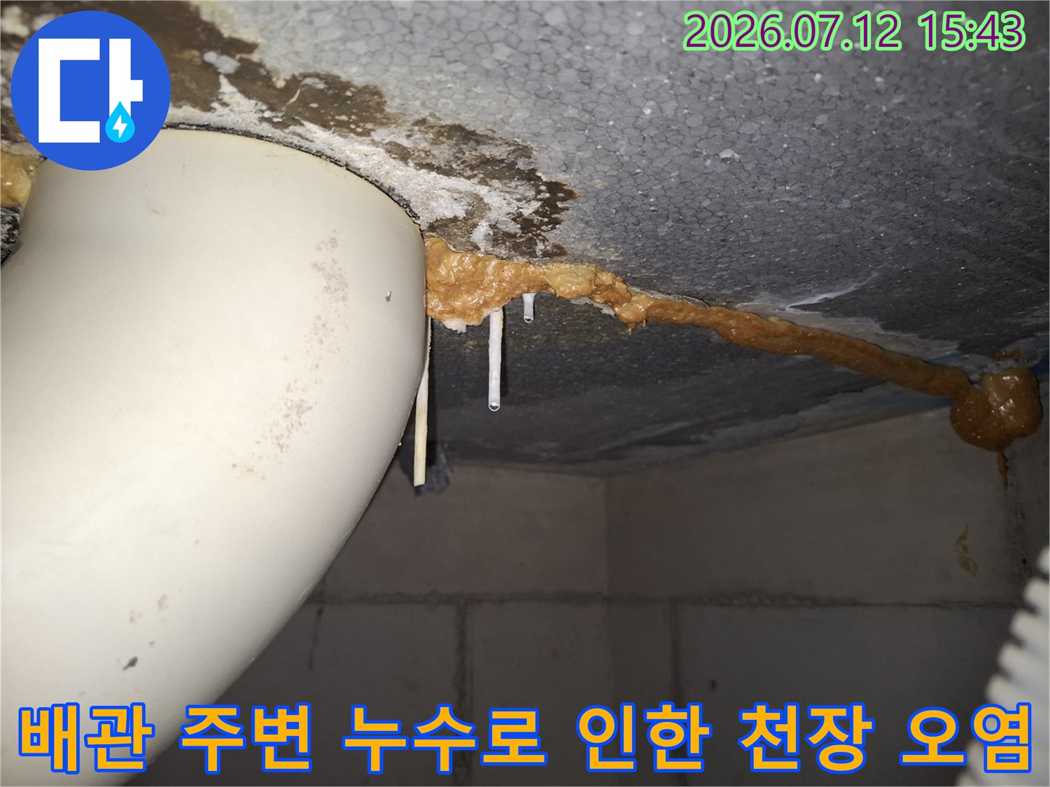 천장 배관 부근에 누수가 발생하여 마감재와 슬래브가 젖어있는 현장 사진