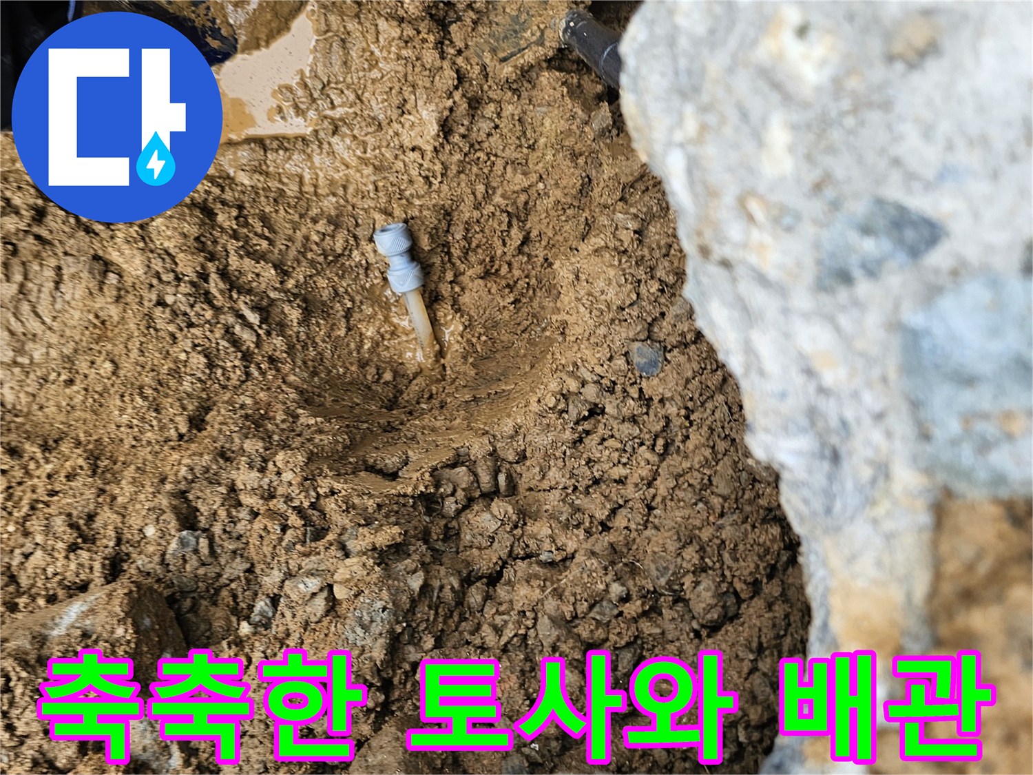 누수가-진행된-지점의-젖은-흙과-노출된-배관