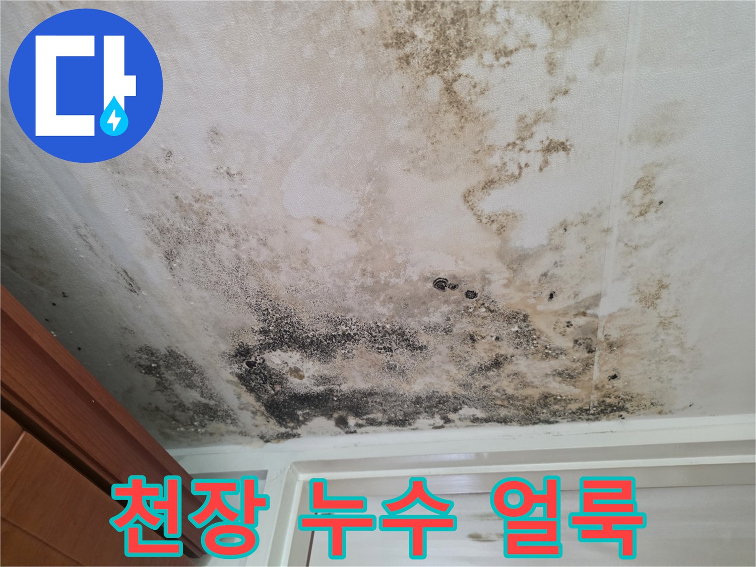 곰팡이와 물자국으로 오염된 천장 마감재