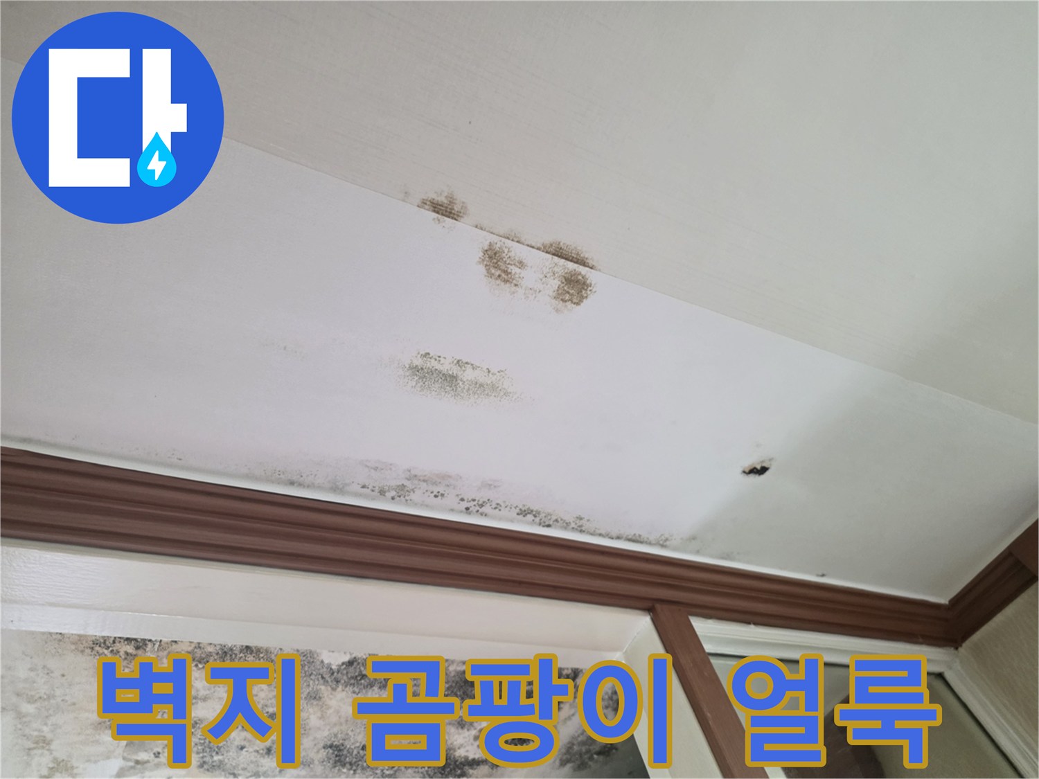 천장-벽지에-발생한-검은색-곰팡이와-물자국
