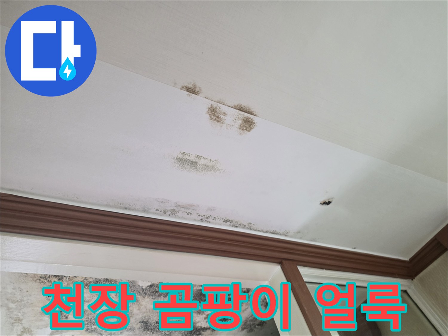 천장에 발생한 검은색 곰팡이와 물에 젖은 듯한 얼룩 상태입니다.