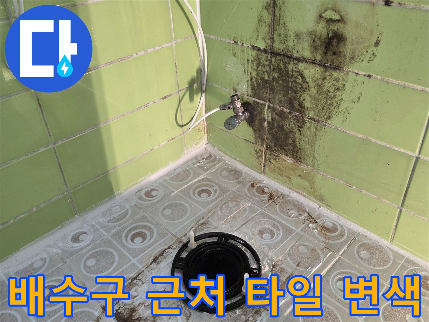 유가 탈거 후 드러난 배관 주변의 심각한 곰팡이 오염