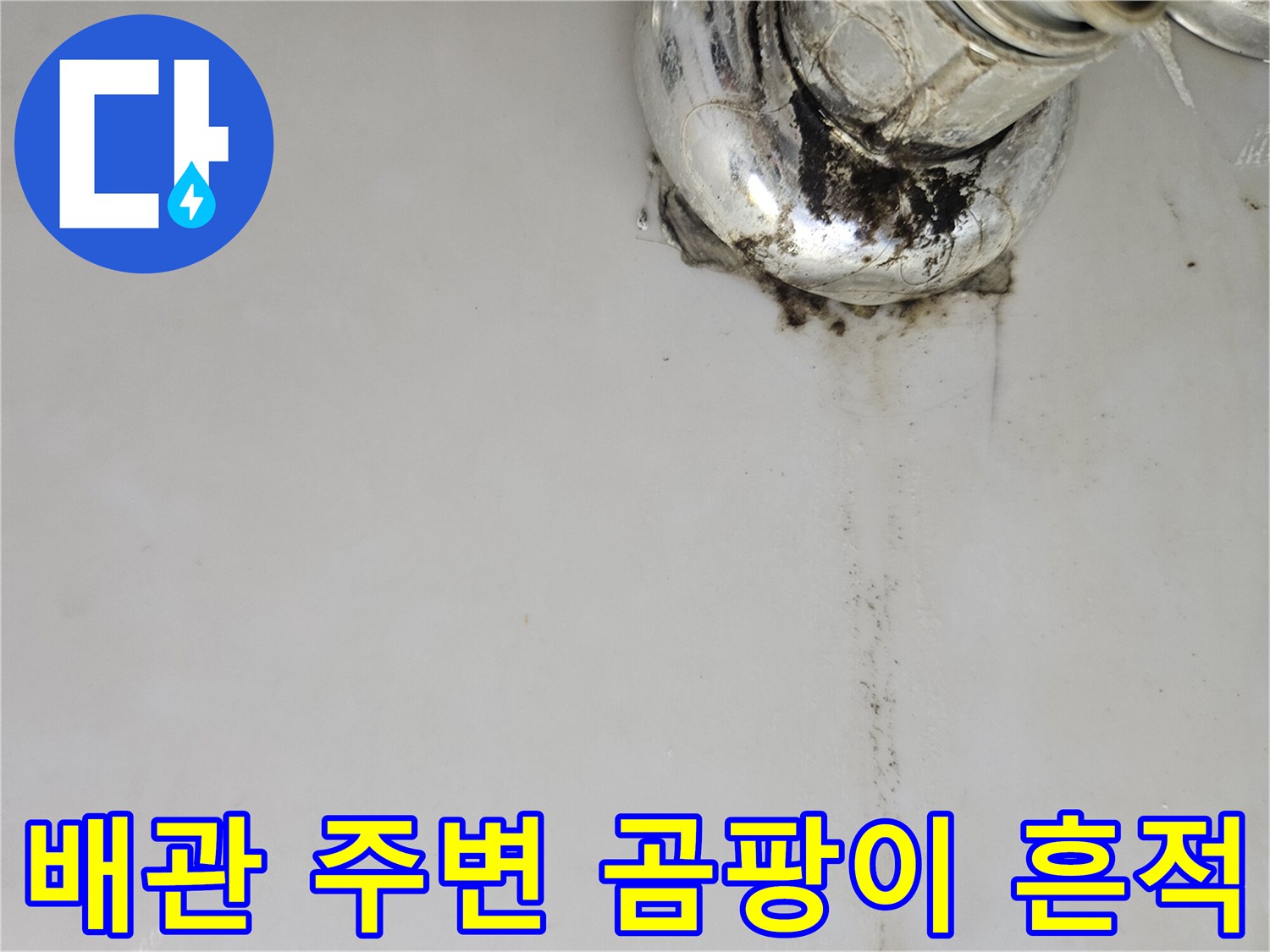 세면대 하단 배관 - 습기로 인해 검게 변한 벽면과 배관 연결부