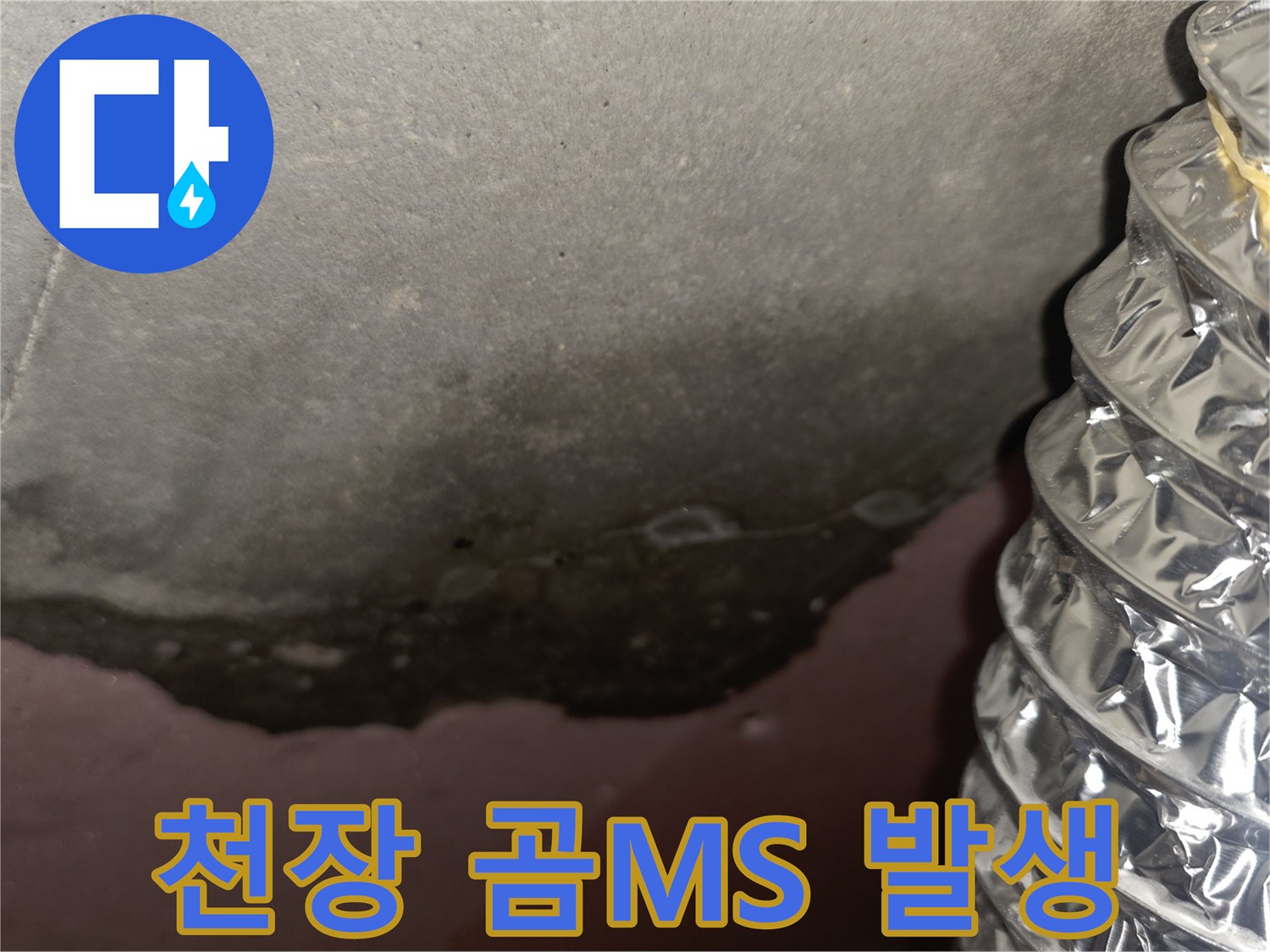 아파트-천장-내부-슬라브-곰팡이와-습기-오염-상황