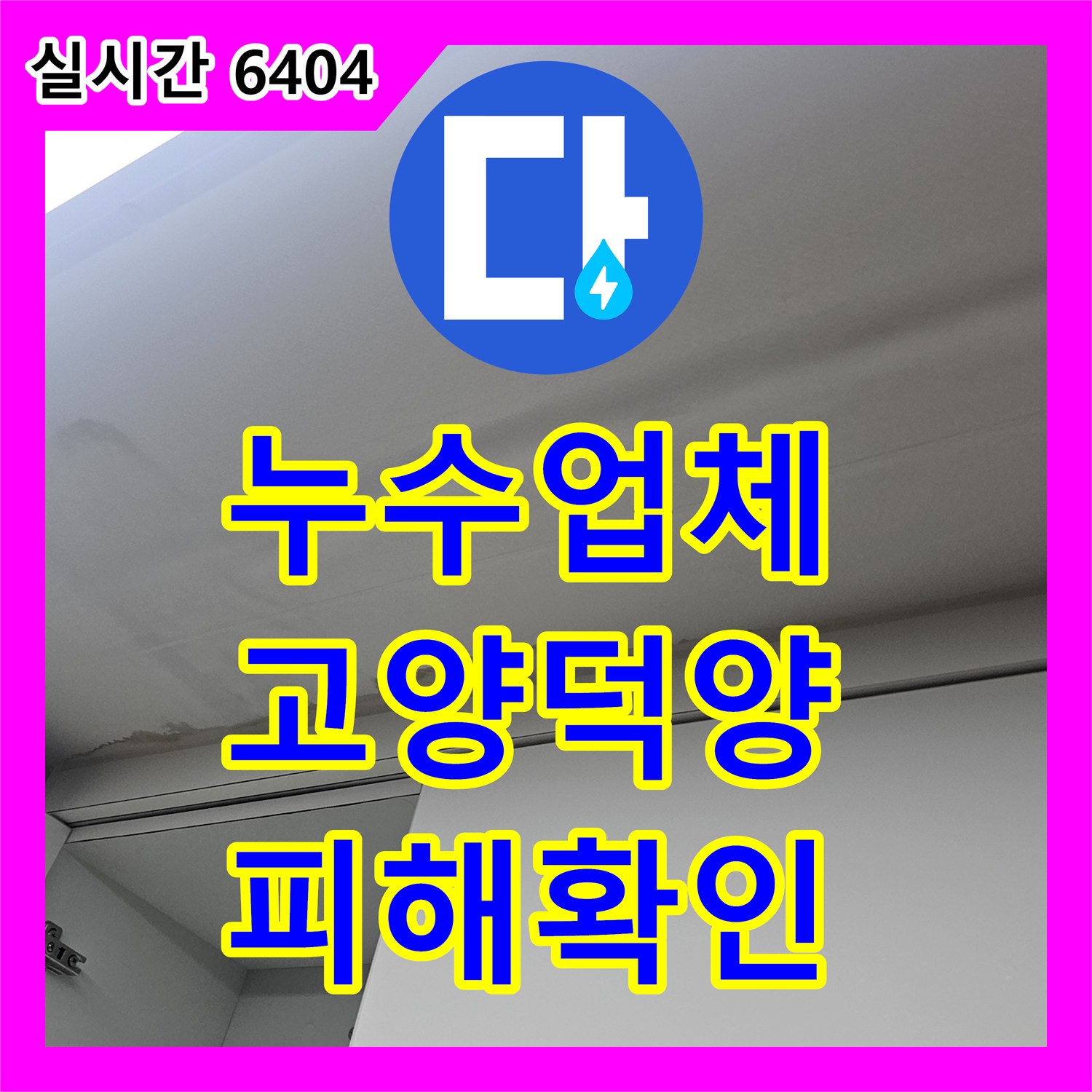 누수업체 고양시 덕양구 복층 빌라 주방 천장 누수 피해 확인 및 정밀 진단 계획 수립