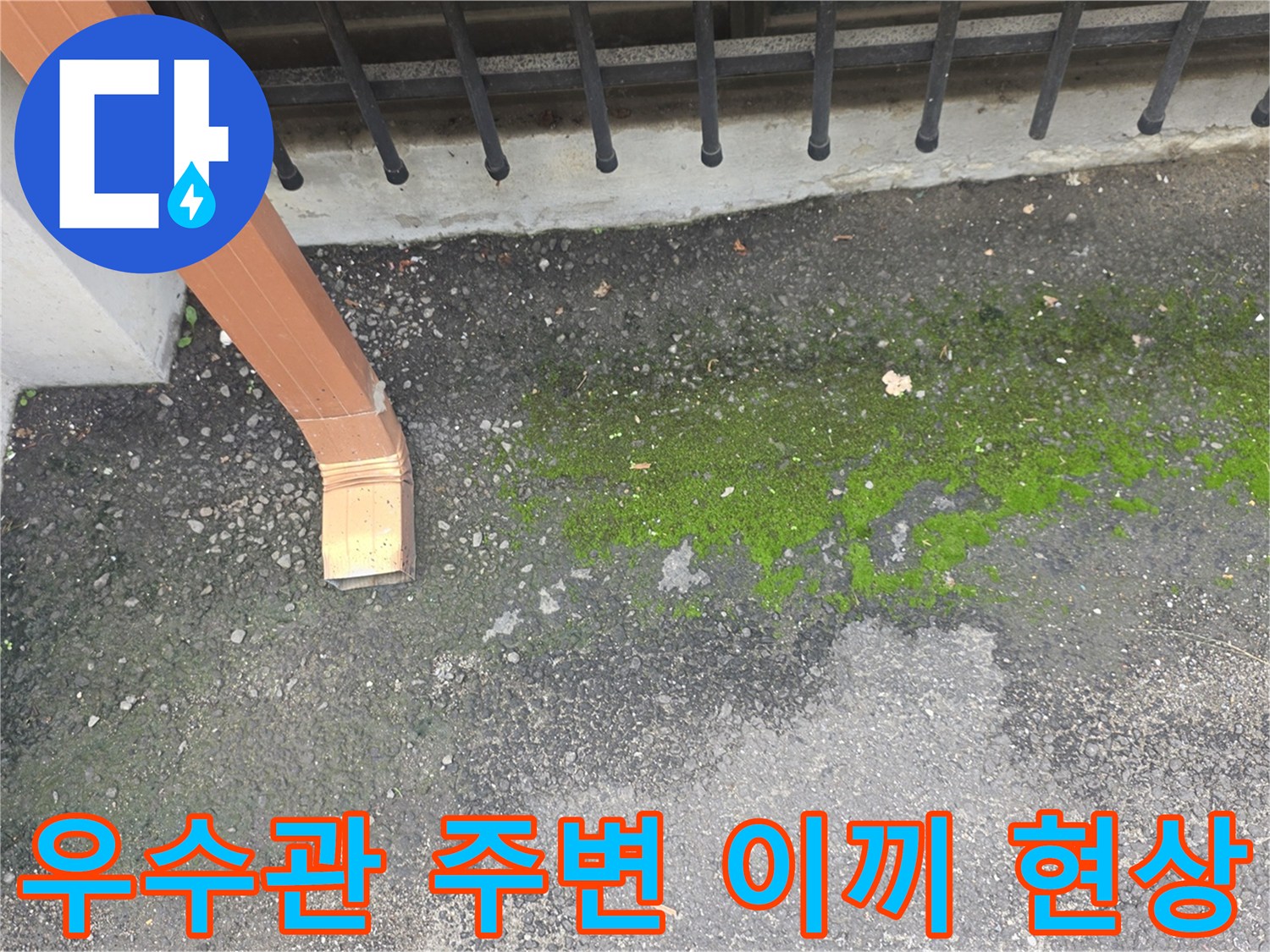 우수관-끝단-주변-지면에-발생한-이끼와-습기