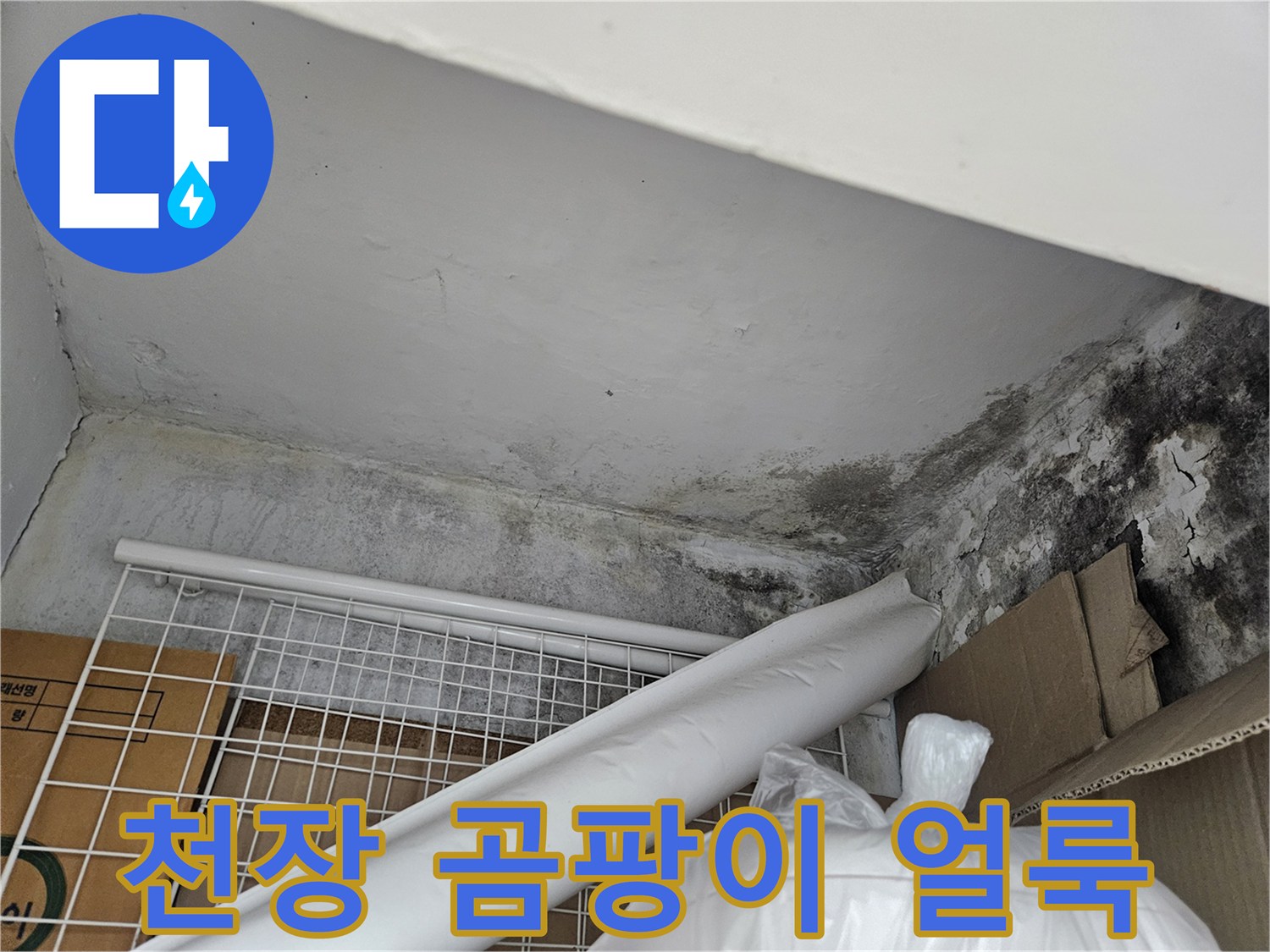 도봉구 아파트 천장 부근의 검은 곰팡이와 습기 흔적