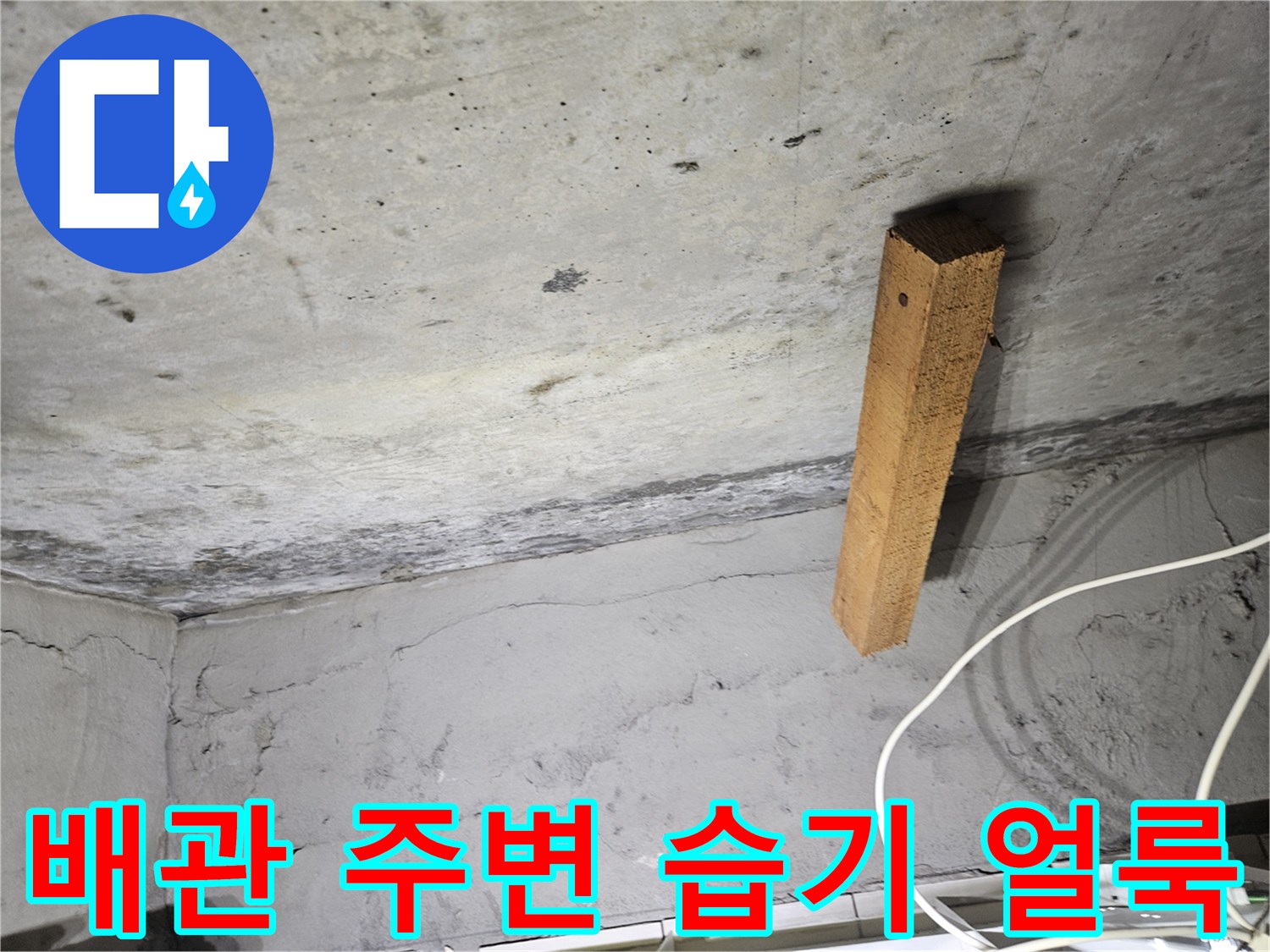천장 구조물-콘크리트 면의 습기 침투 및 변색 부위