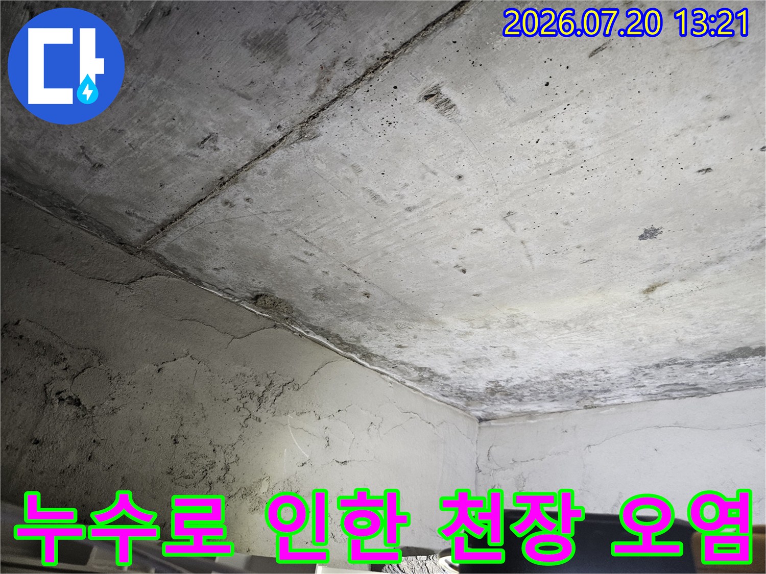 천장 콘크리트 표면에 발생한 얼룩과 누수 흔적을 점검하는 사진