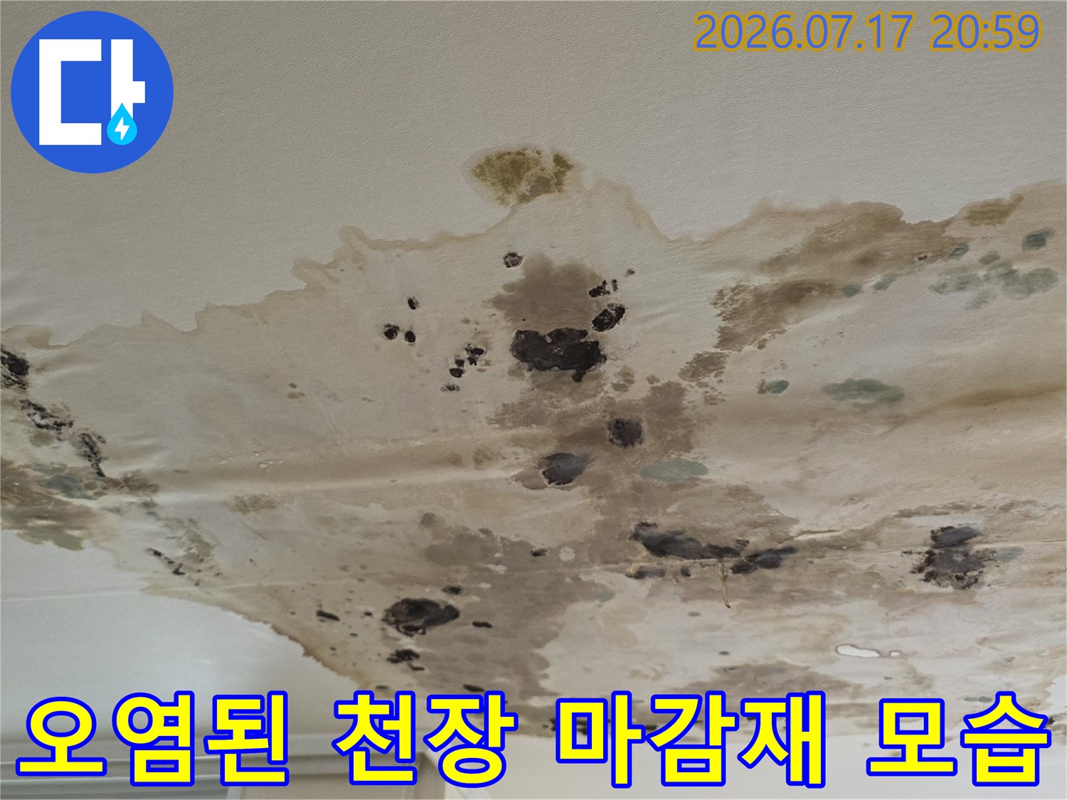 거대하게 번진 누수 얼룩과 곰팡이가 관찰되는 천장 내부