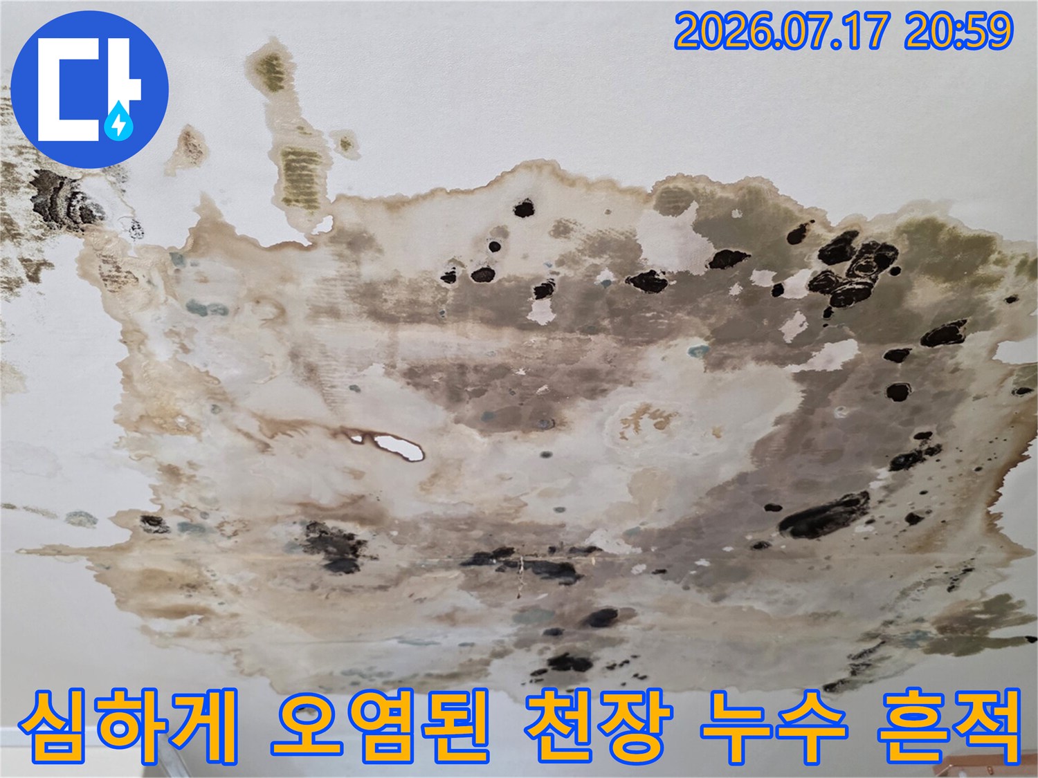 곰팡이와 물때로 오염된 아파트 천장면