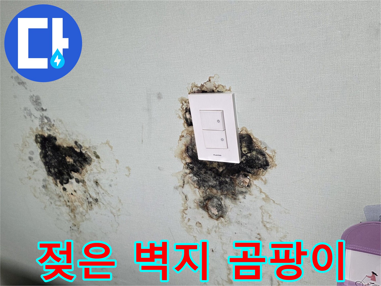 물에 젖어 변색되고 곰팡이가 피어오른 벽면 상태