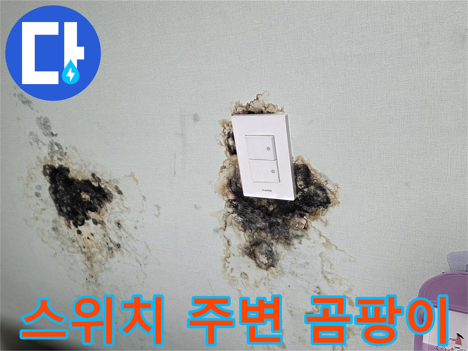 전기 스위치 근처에 발생한 검은색 곰팡이와 침수 흔적