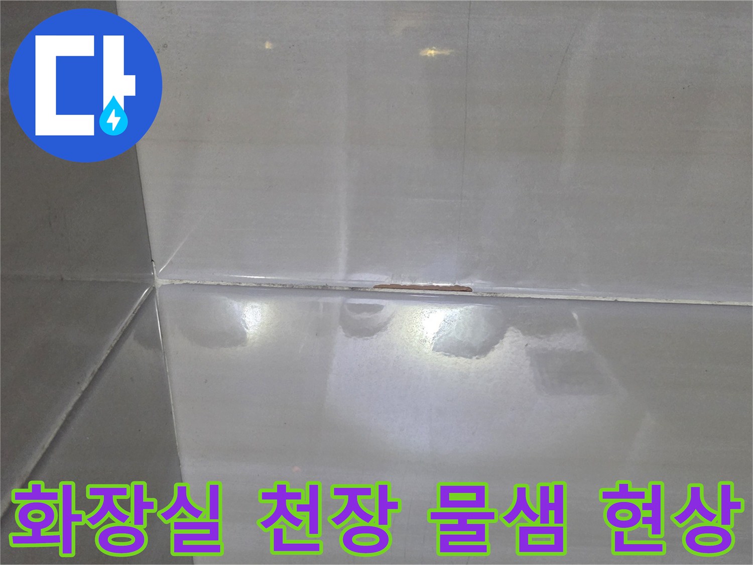 고양시-덕양구-화장실-천장-물샘-현상-사진