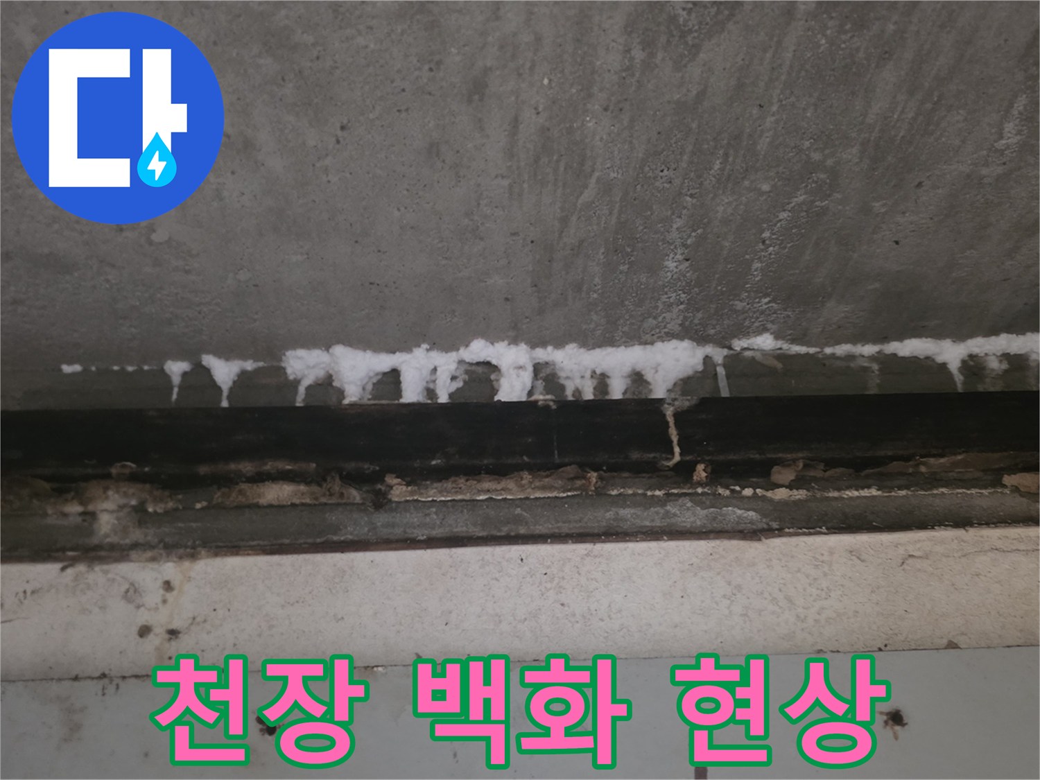 콘크리트-슬라브-천장에서-흘러내린-하얀-석회물-백화현상