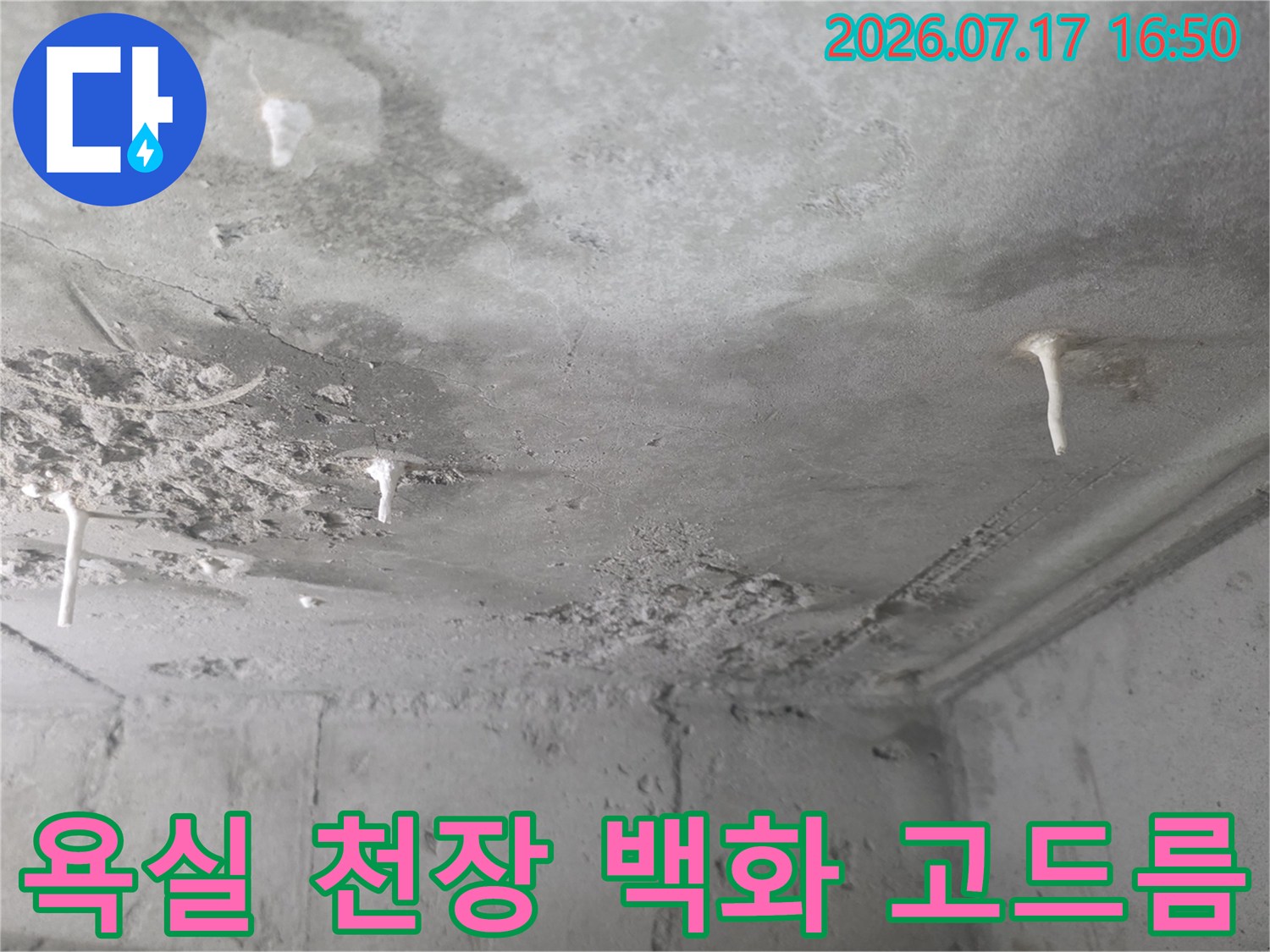 콘크리트 슬래브 천장에 하얀 석회 물질이 맺혀 있는 누수 현장 사진