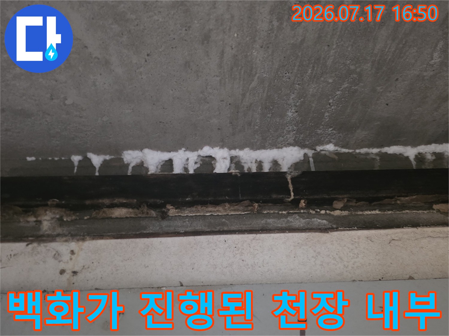 콘크리트 천장 가장자리를 따라 하얀색 석회질이 맺혀 있는 모습