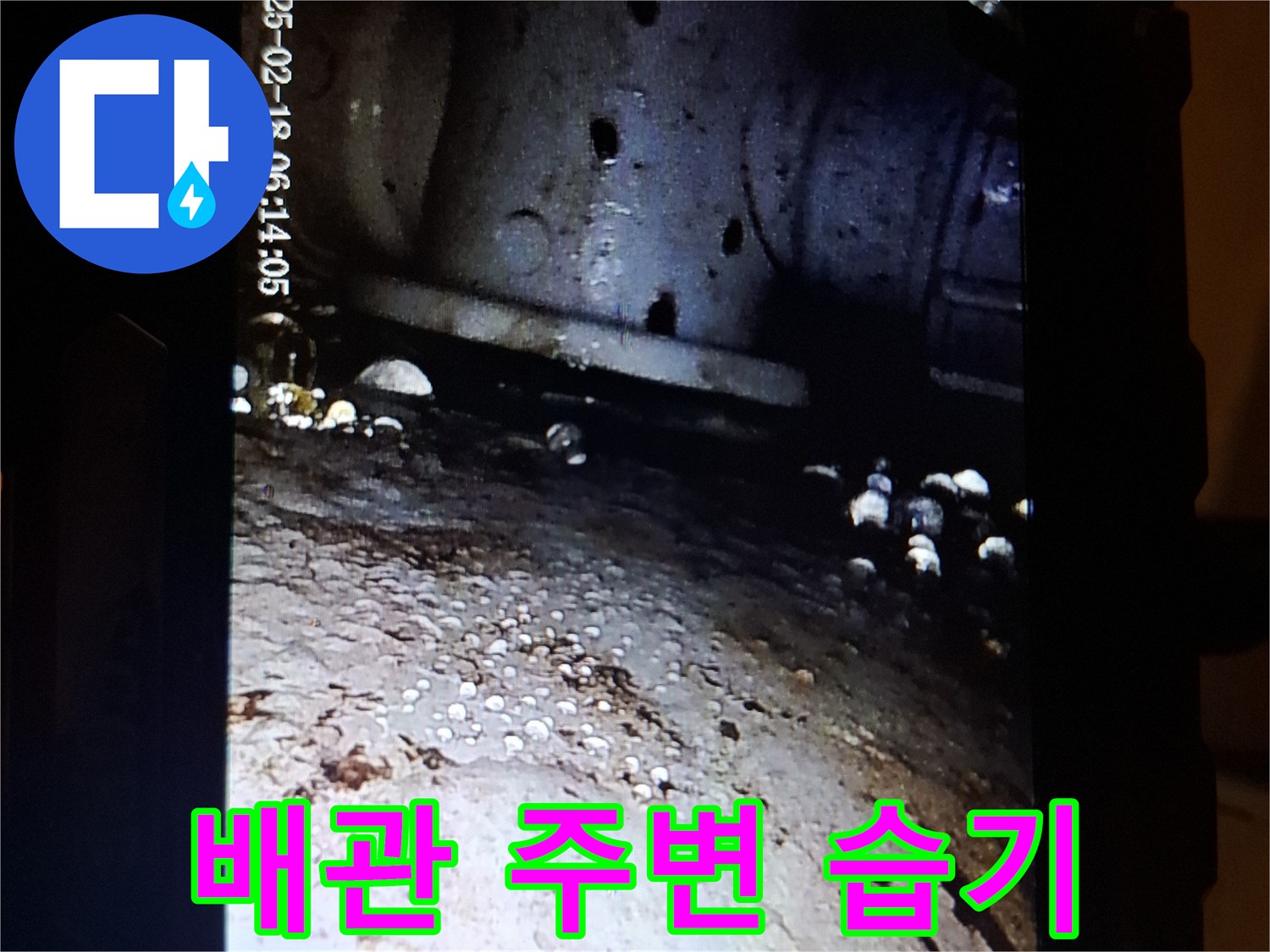 내시경으로 본-배수구 하부 배관 주변의 물기 현상