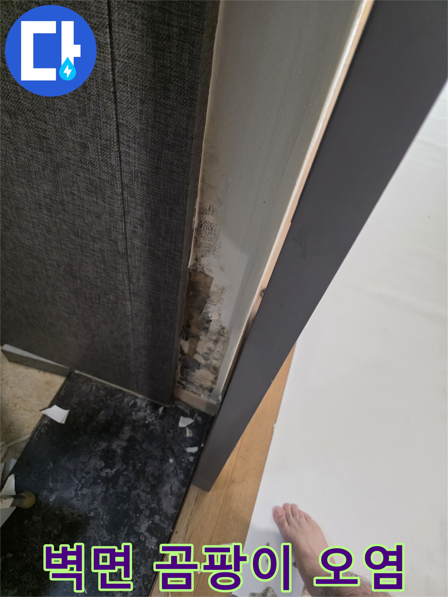 누수로 인해 곰팡이가 발생한 거실 벽면의 모습