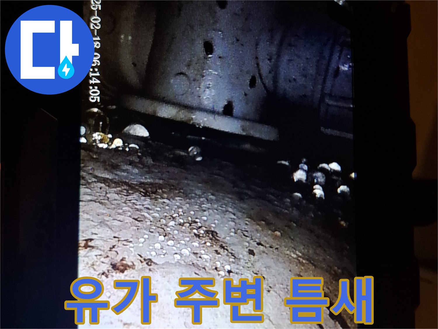 배수구 유가-주변의 벌어진 틈새와 습기 상태
