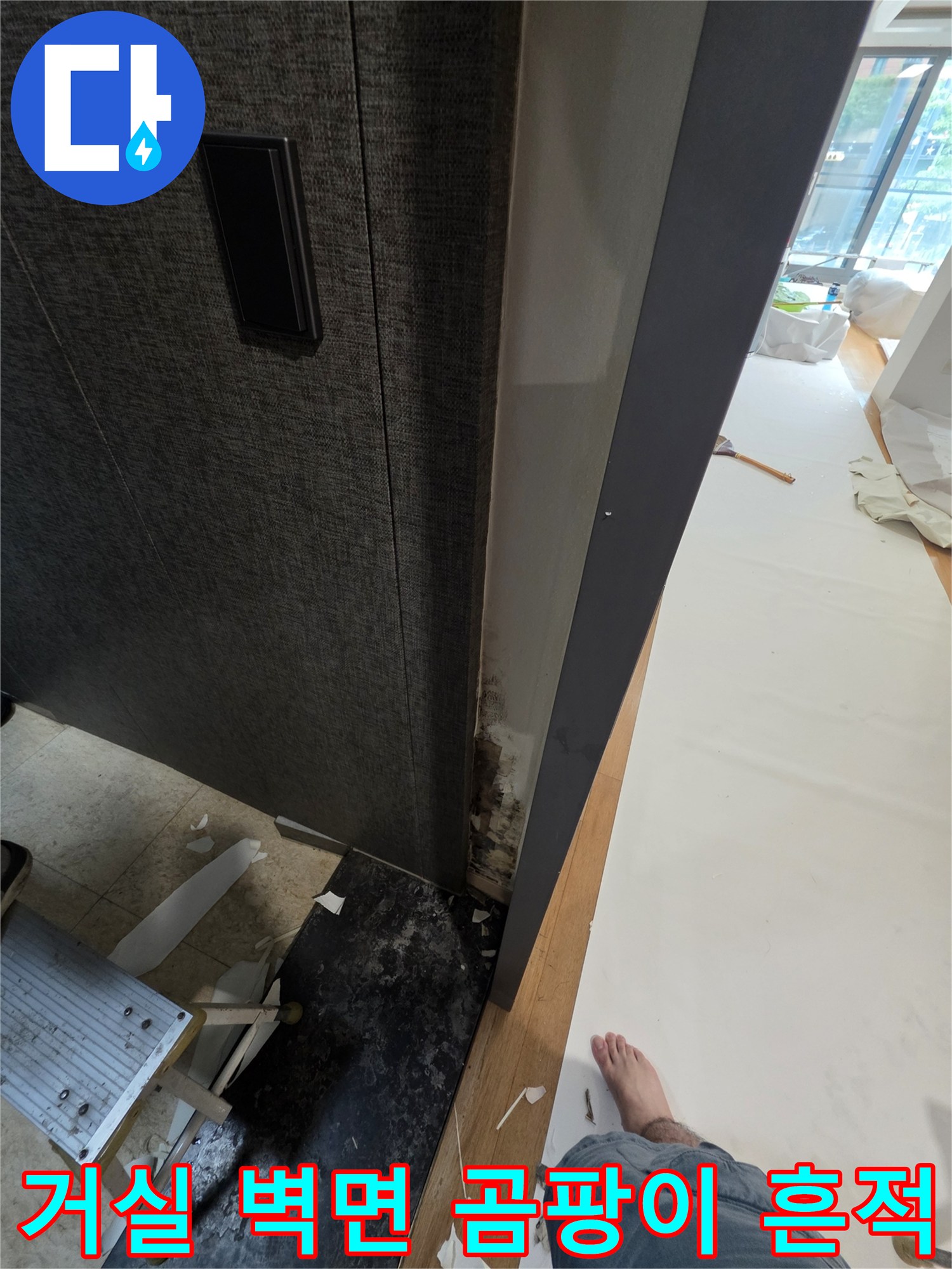 용인 수지구 거실 벽면 하단부의 곰팡이와 습기 오염 상태