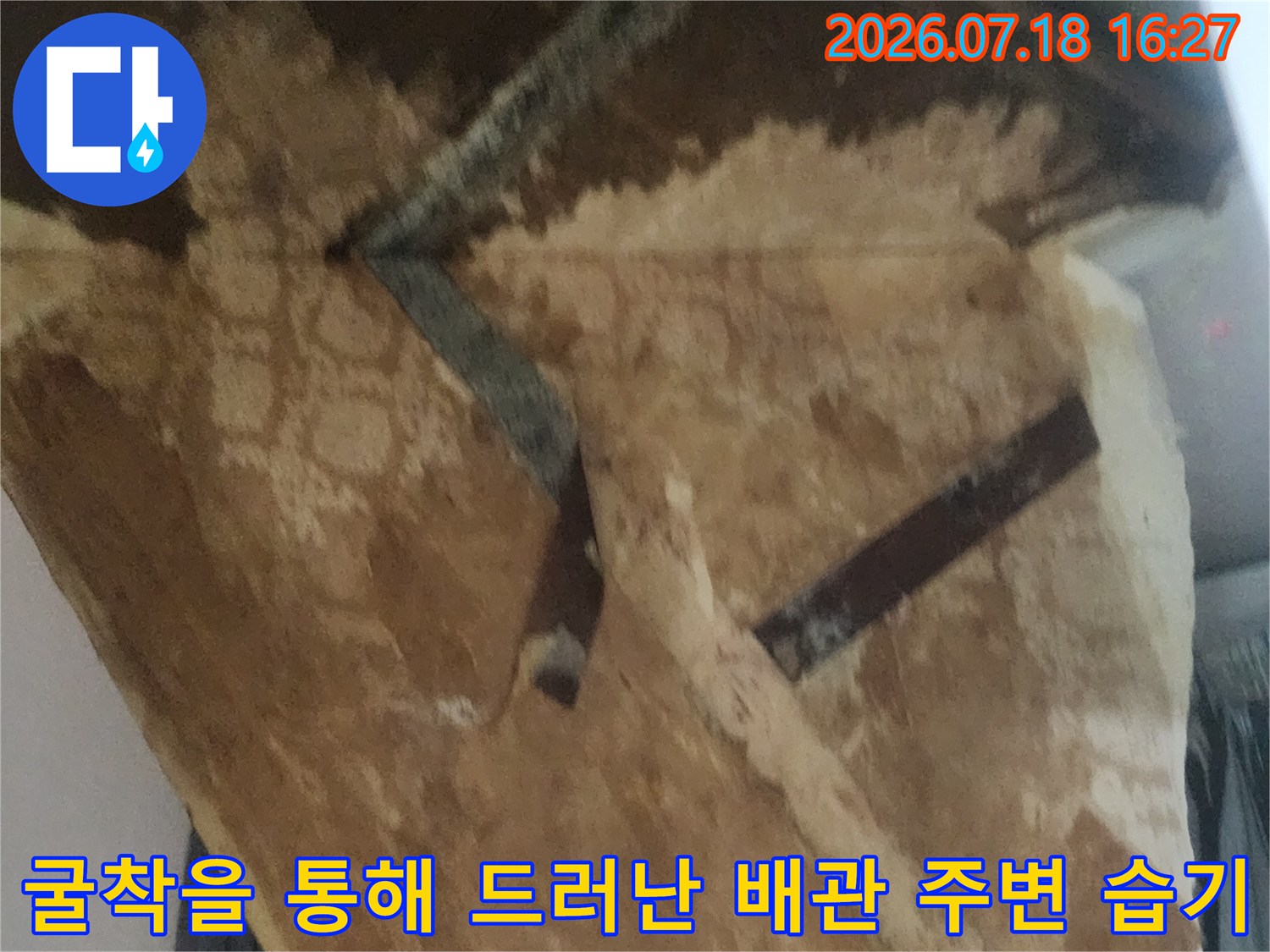 누수가 발생한 지점을 특정하여 바닥재를 제거하고 내부 토양을 노출시킨 모습