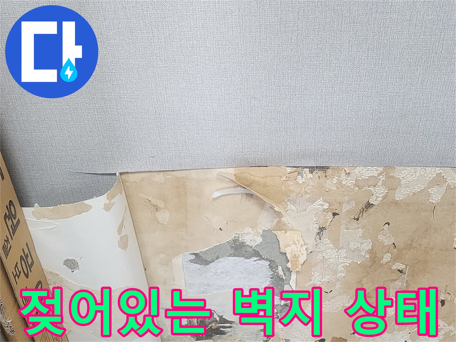 양천구 현장-벽지가 젖고 벗겨진 모습