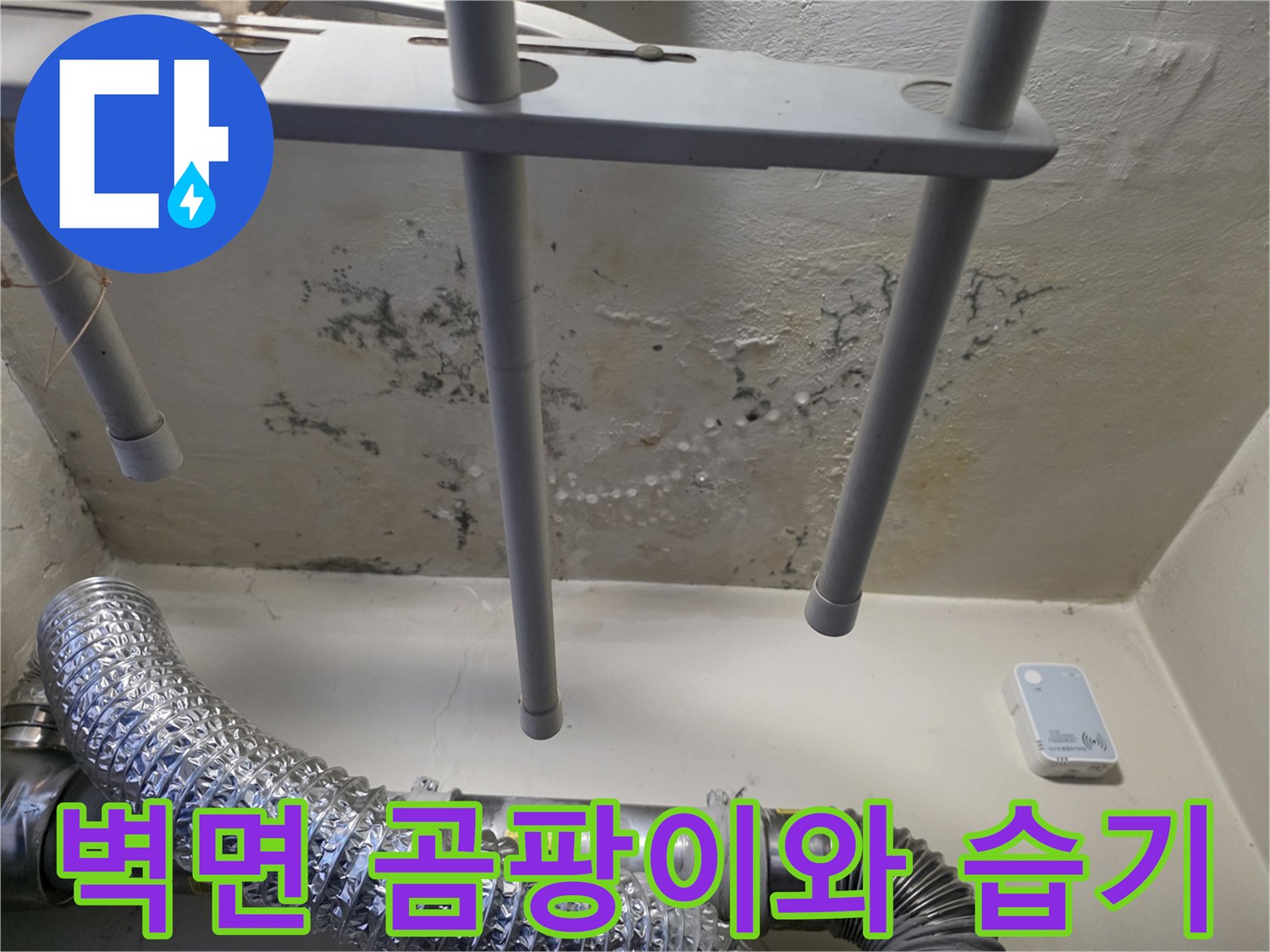 배관 주변 벽면에 발생한 검은 곰팡이와 습기 흔적
