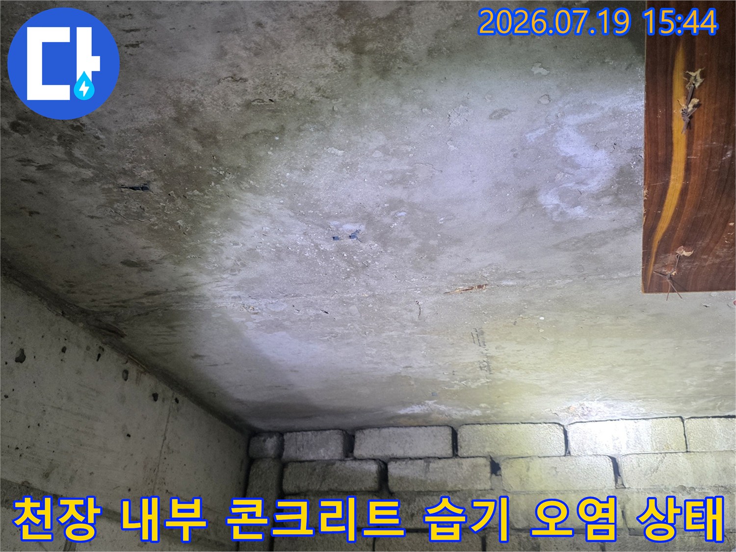 습기가-차올라-회색빛-콘크리트-표면이-얼룩진-화장실-천장-내부-사진