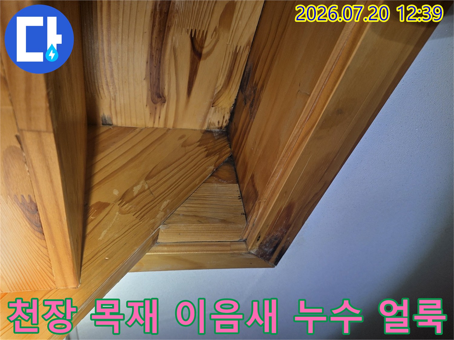 나무 천장의 꺾이는 지점에 물기가 스며들어 어둡게 변한 모습-누수 증상 사진