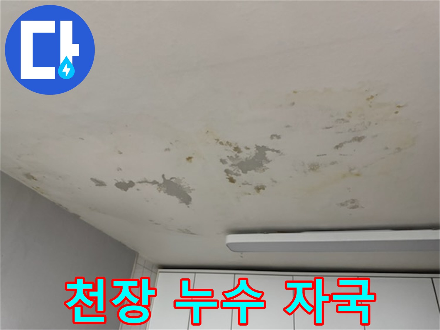 넓은-면적의-천장-누수-물자국-및-얼룩