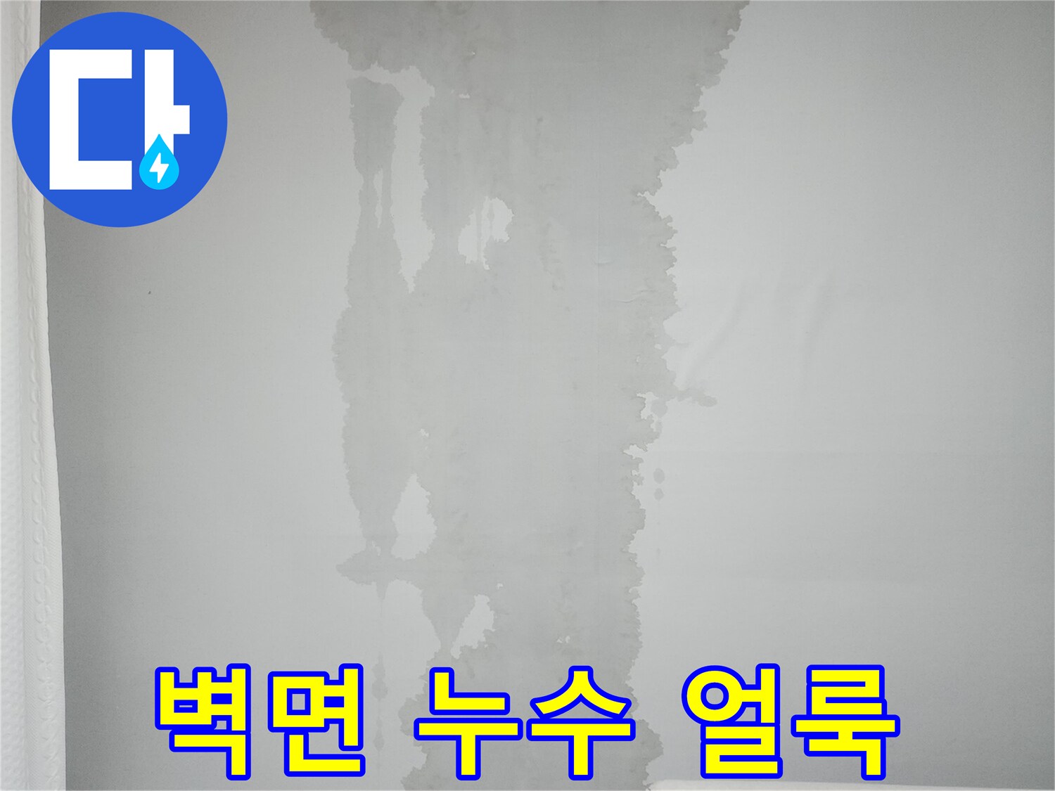아파트 벽면에 넓게 퍼진 누수 흔적과 습기 자국