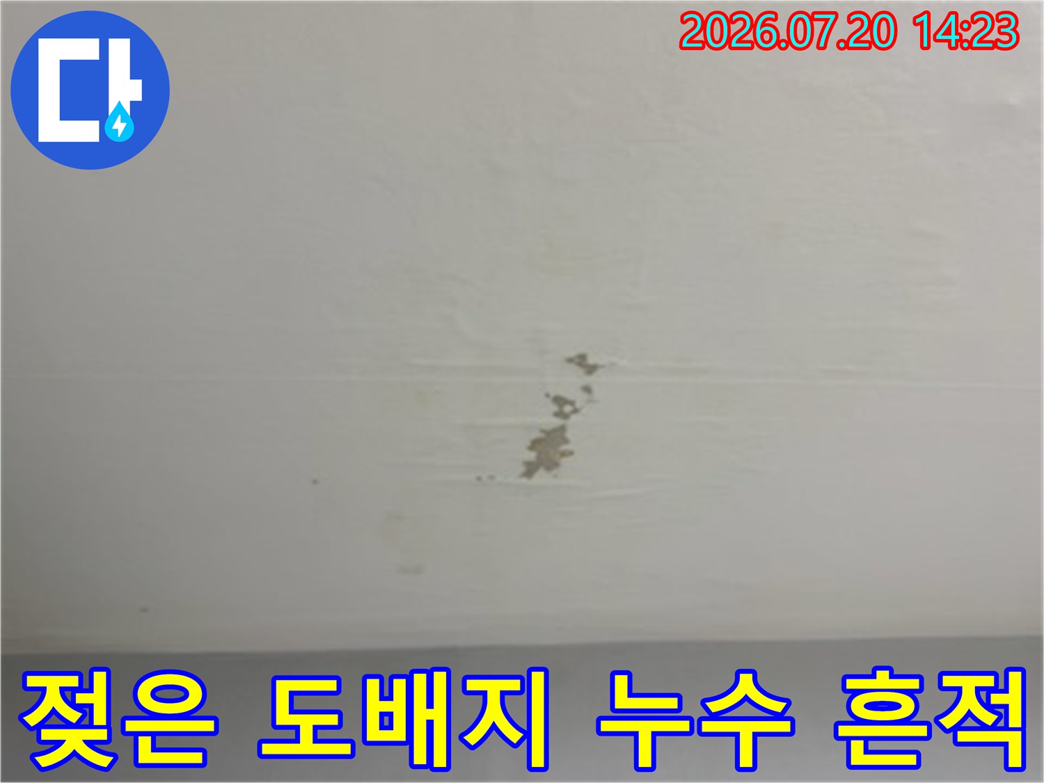 천장 부위의 도배지가 젖어 들러붙고 변색된 모습