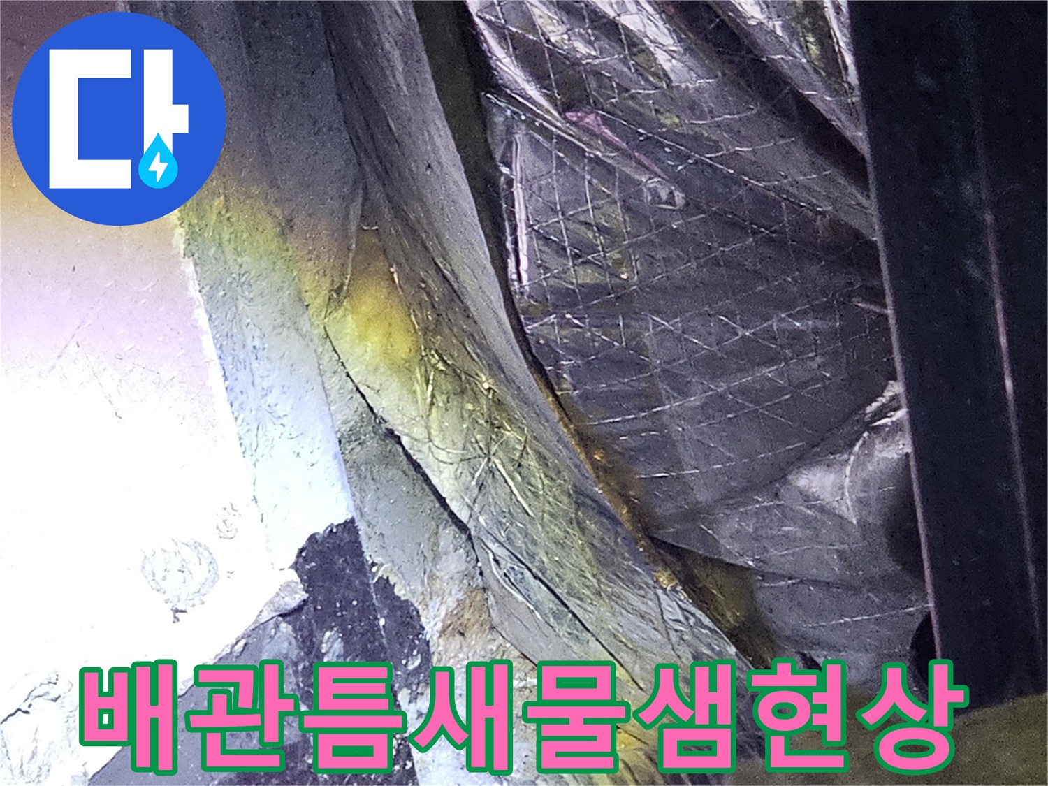 성남-분당-지하층-천장-배관-주변-균열-및-습기