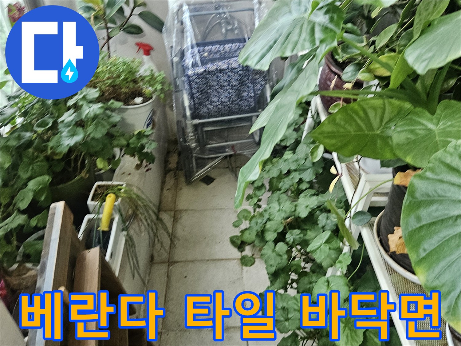 습기가 확인된 베란다 타일 바닥과 화분 영역