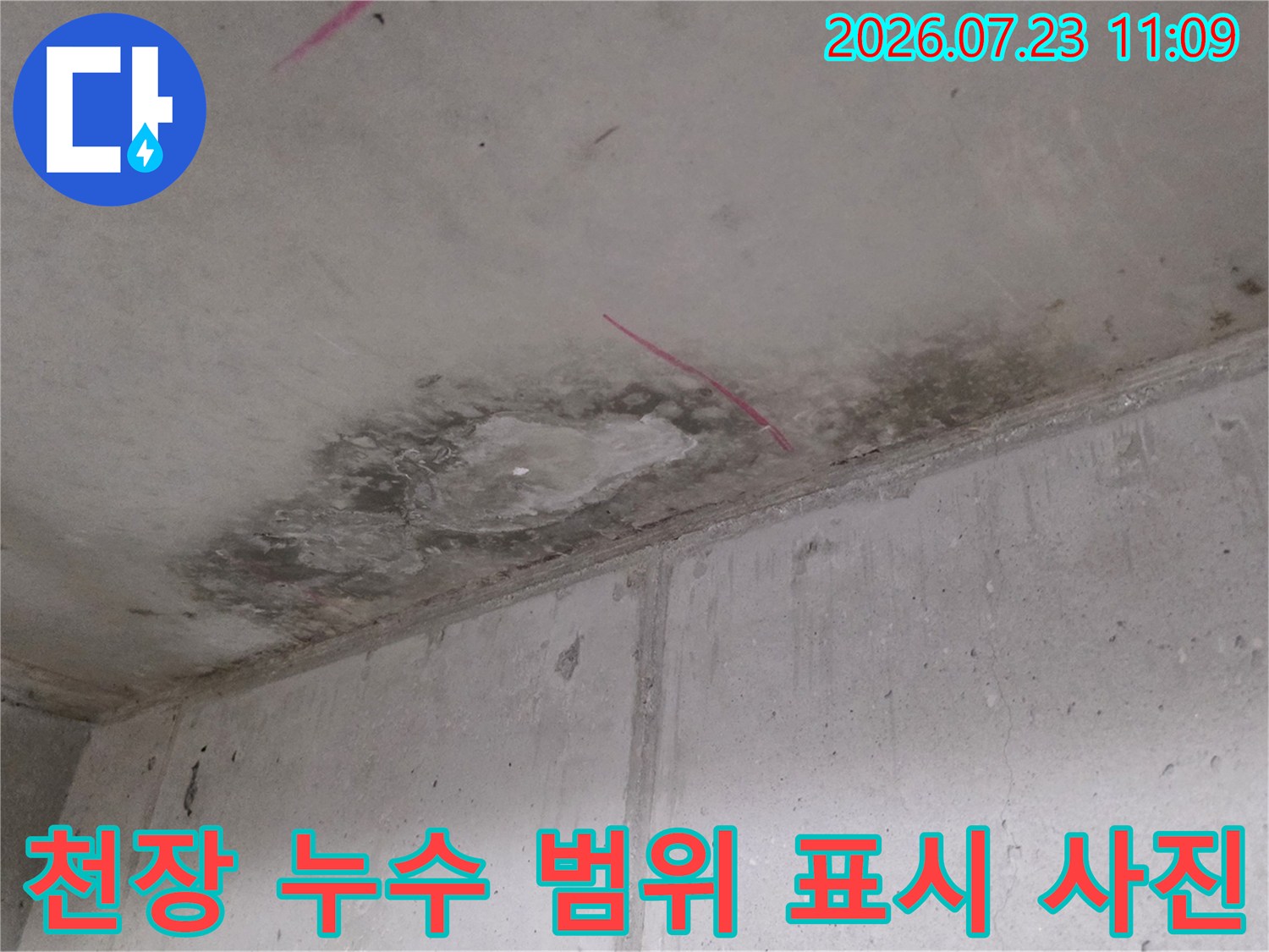 분홍색 선으로 영역이 표시된 천장의 젖은 콘크리트 표면과 변색된 얼룩-사진