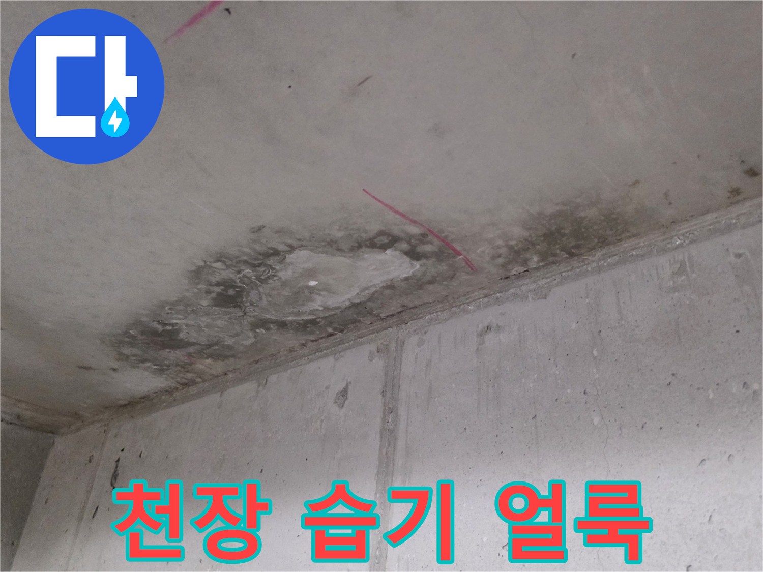 천장 콘크리트 표면의 젖은 듯한 어두운 얼룩 부위