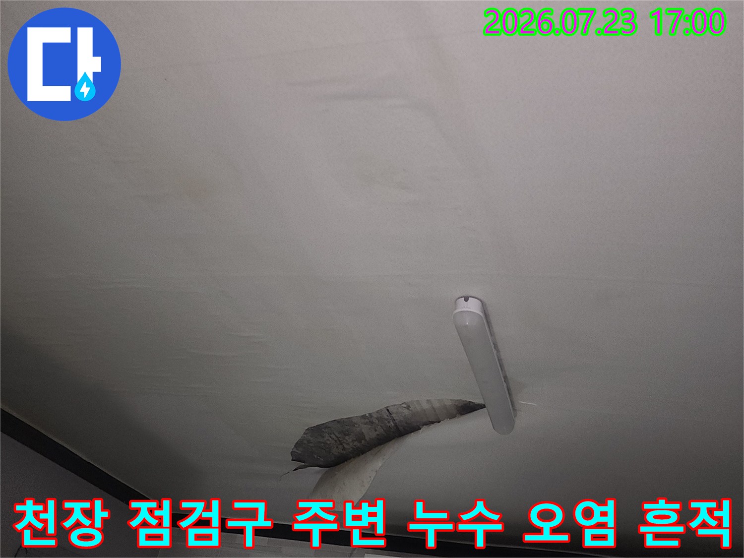 흰색 천장 패널의 틈새를 통해 배어 나온 진한 갈색의 누수 얼룩