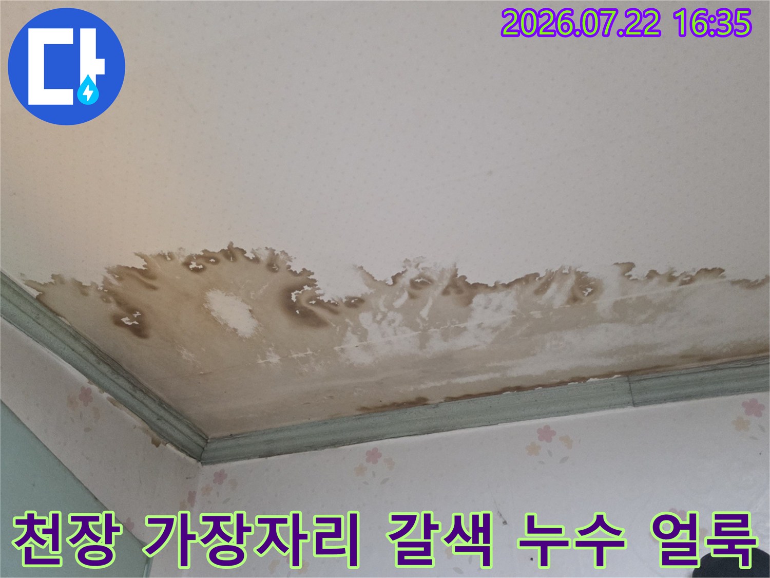 갈색으로 변색되어 젖어 있는 천장지와 몰딩 경계 부분-사진
