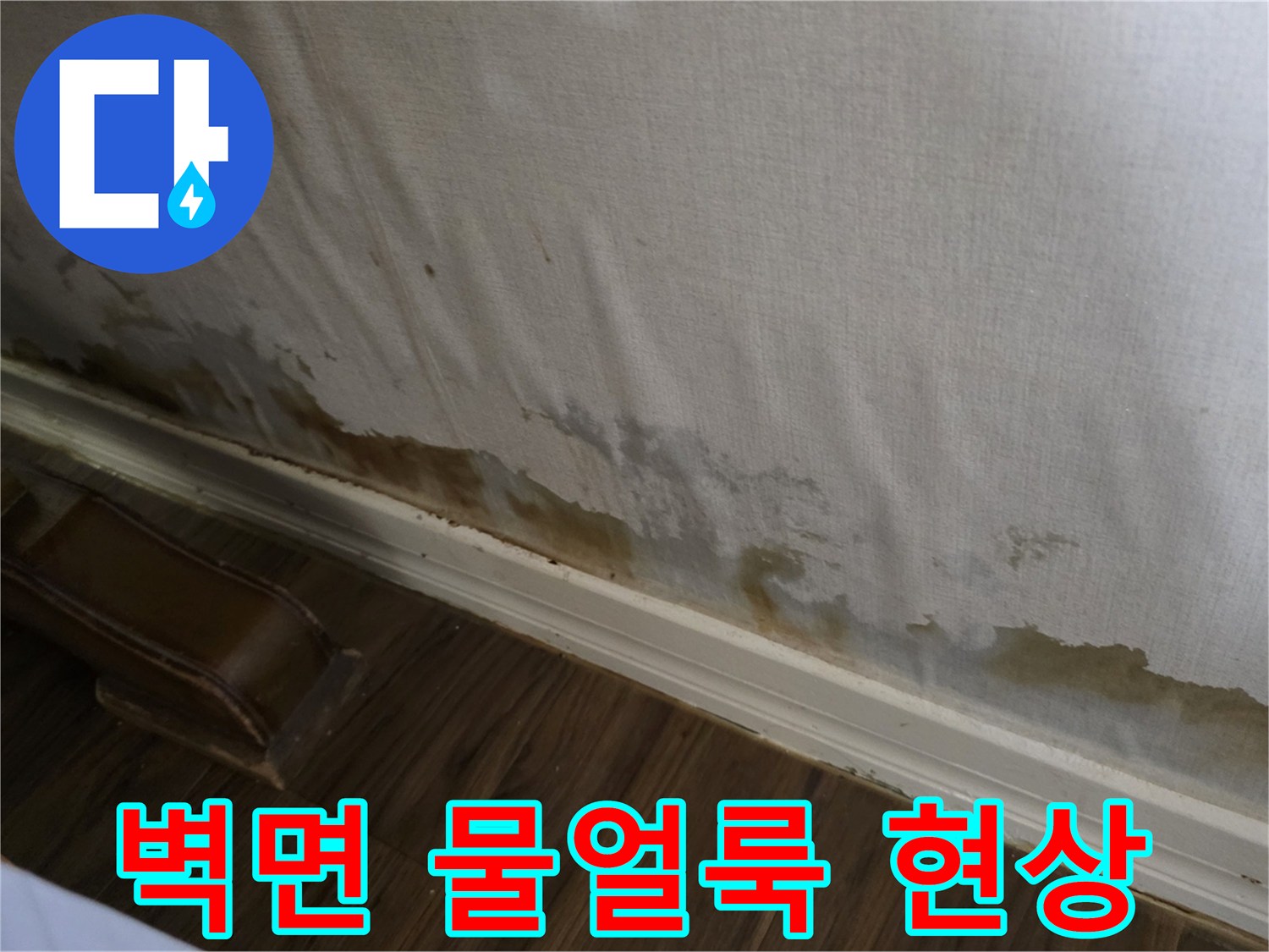 성북구 정릉동 빌라 - 아래층 벽면의 습기와 물얼룩 상태