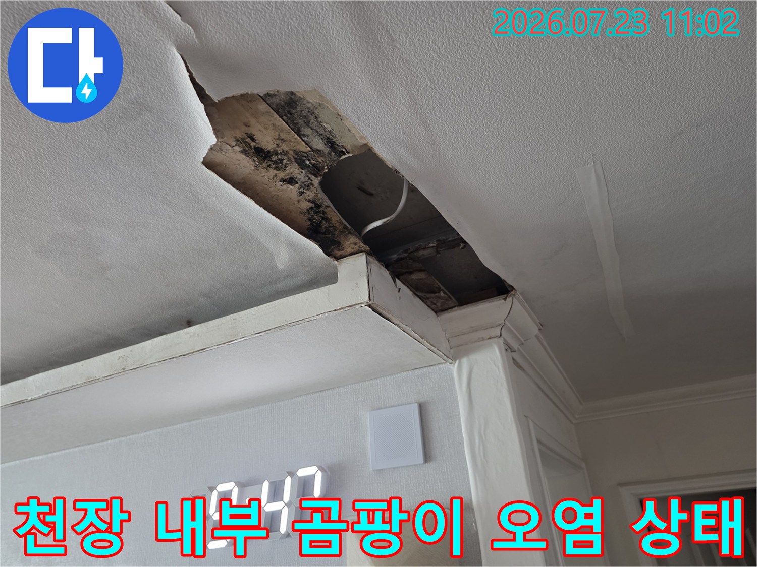 습기로 인해 검게 변색된 천장 내부 구조물과 파손된 마감재-현장 사진