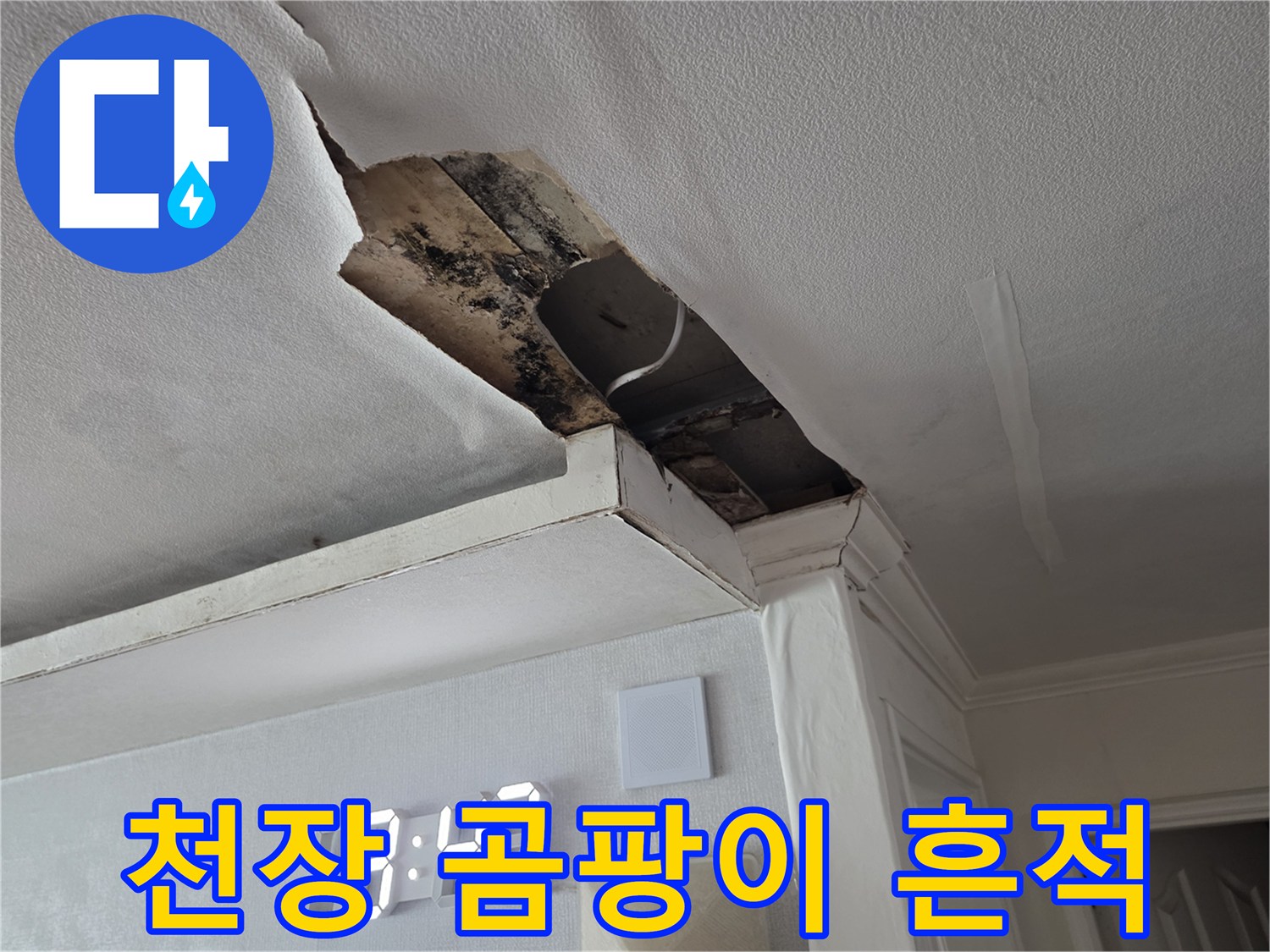 훼손된 천장 내부-습기로 인한 오염 상태