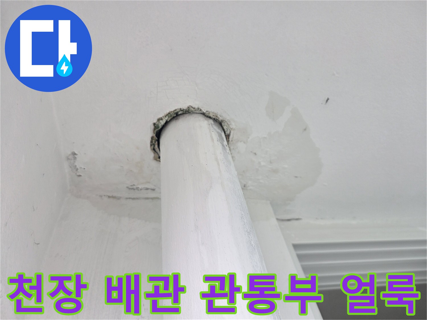 아파트 천장-배관 주변의 습기 머금은 마감재 부위