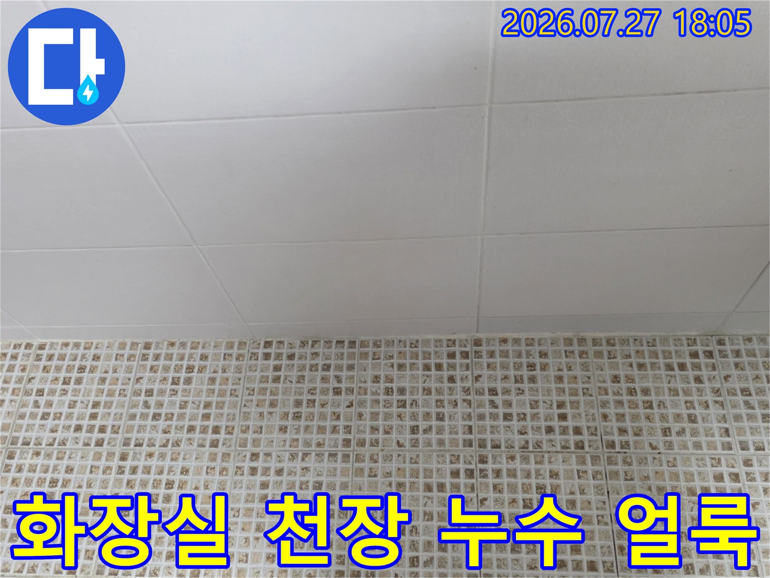 하얀색 화장실 천장 패널 중앙에 누수로 인해 발생한 어두운 색의 물 얼룩-현상