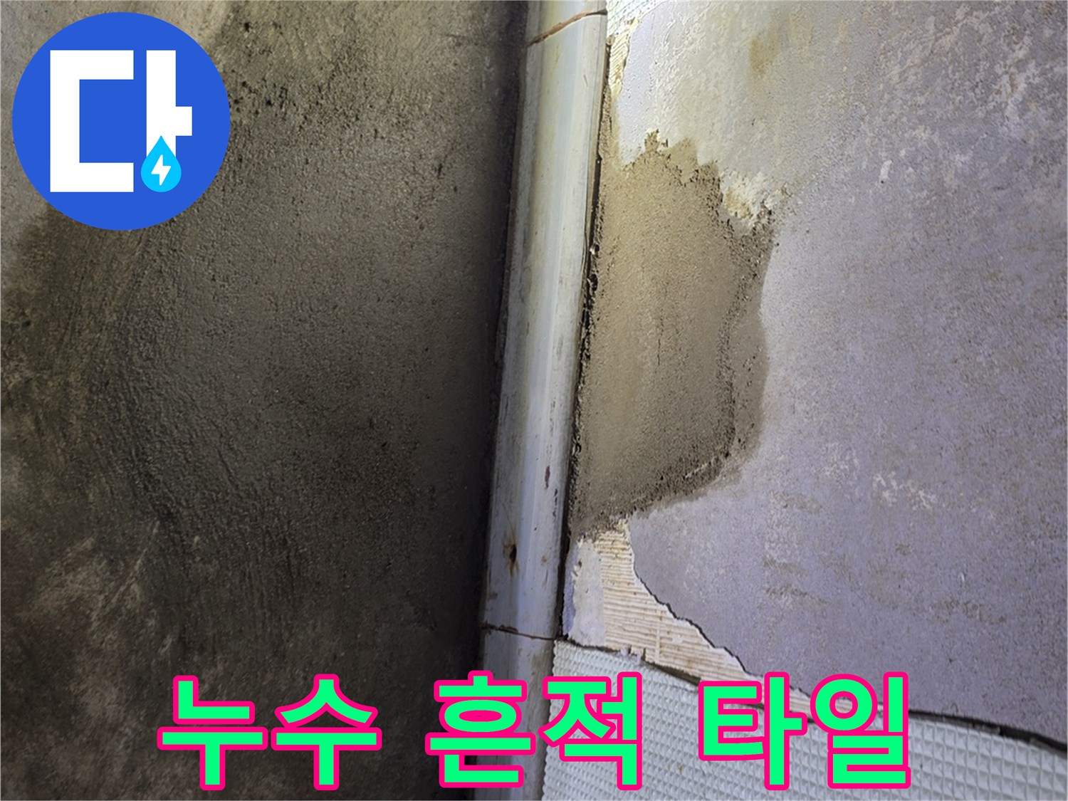 벽면 틈새-물기가 스며든 시멘트층의 상태
