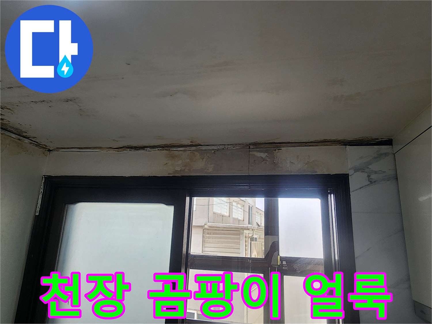 천장 구석의 곰팡이와 습기로 인한 변색 부위